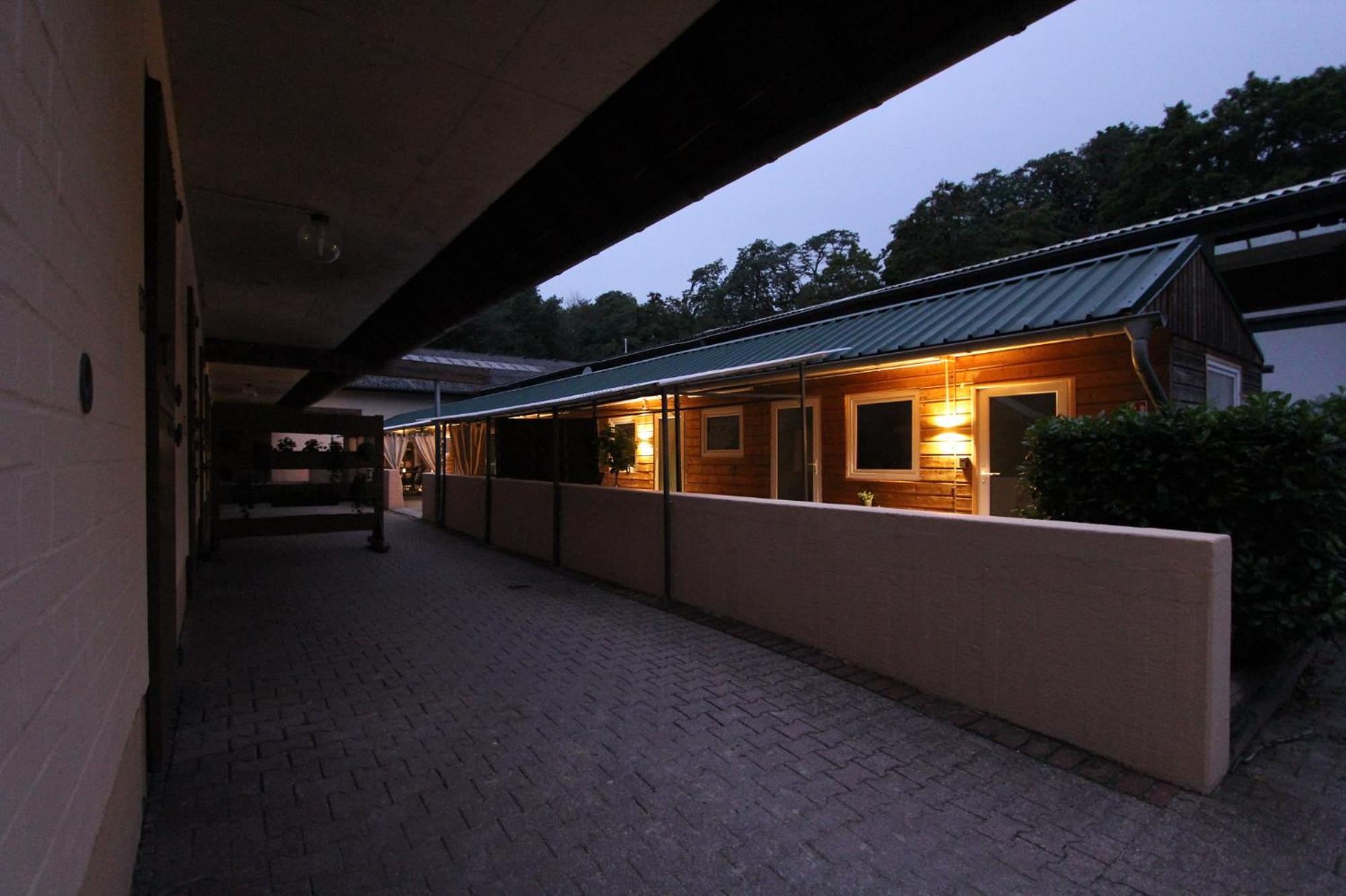 Apartment with Terrace photo 2