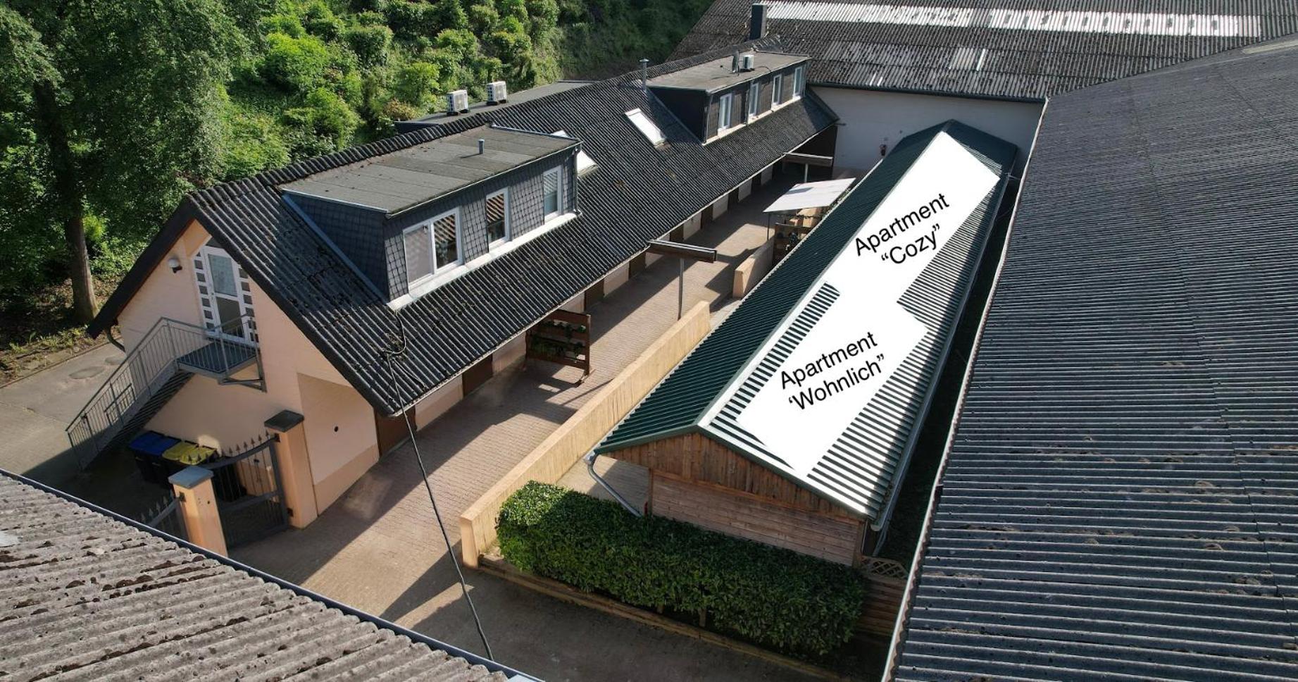 Apartment with Terrace photo 3