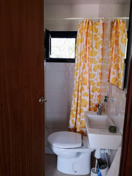 Two-Bedroom House photo 2