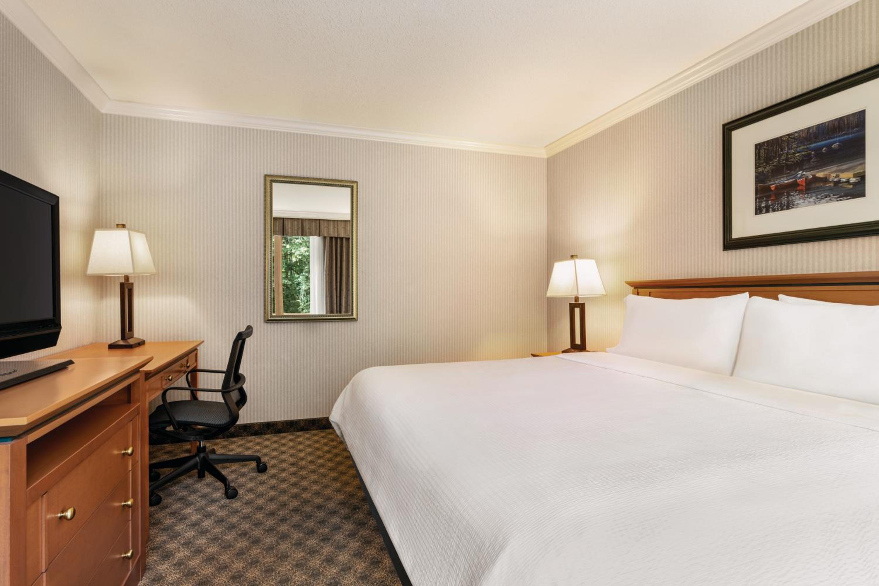 King Suite - Photo 2