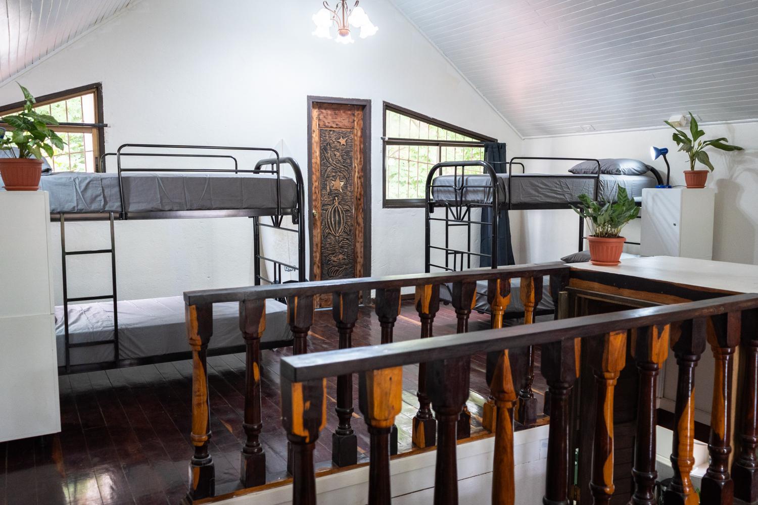 Bunk Bed in Mixed Dormitory Room photo 1