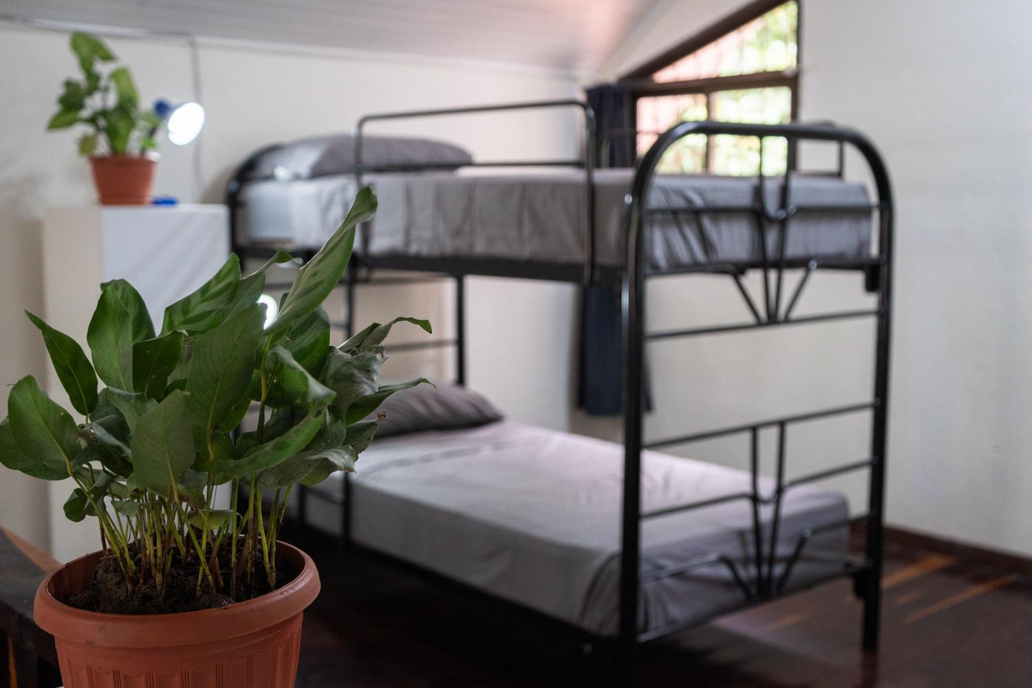 Bunk Bed in Mixed Dormitory Room photo 2