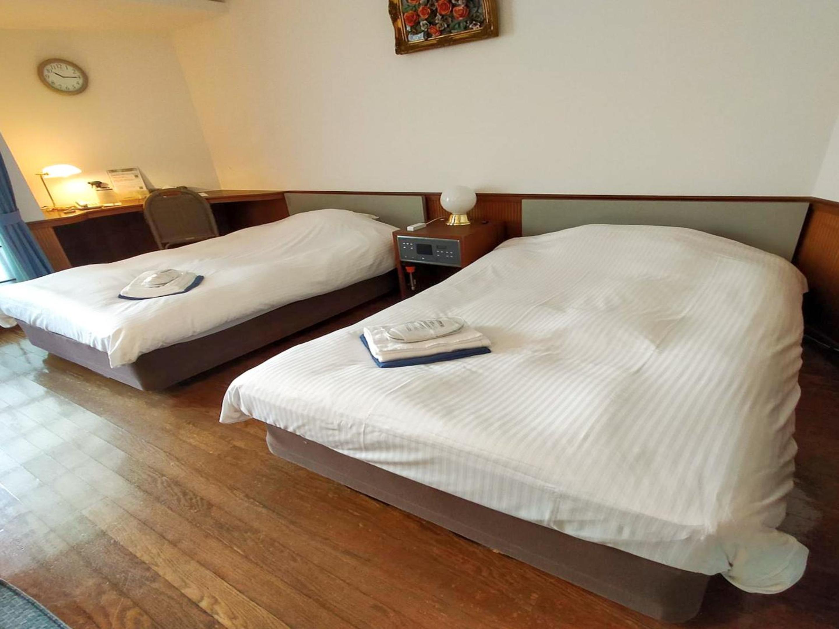 Twin Room photo 1