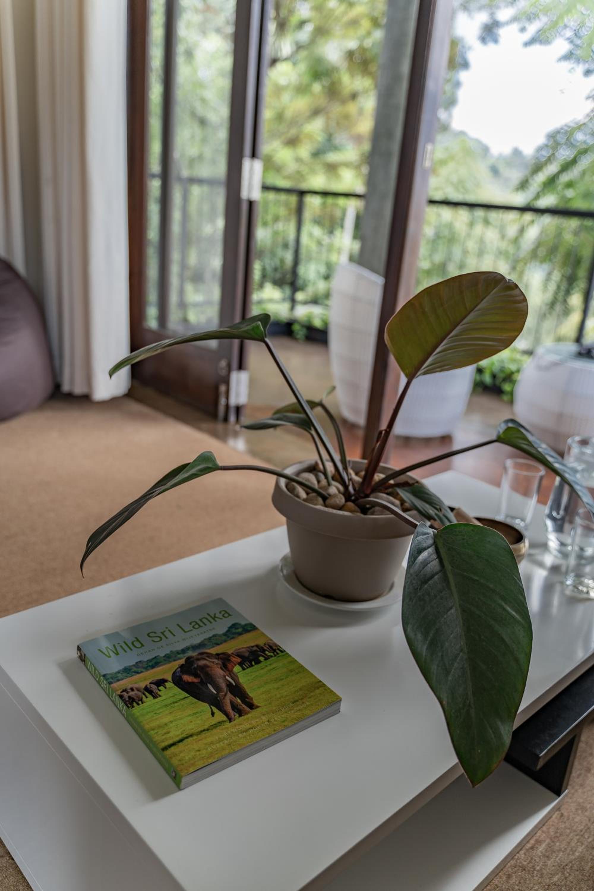 Deluxe Double Room with Balcony photo 2