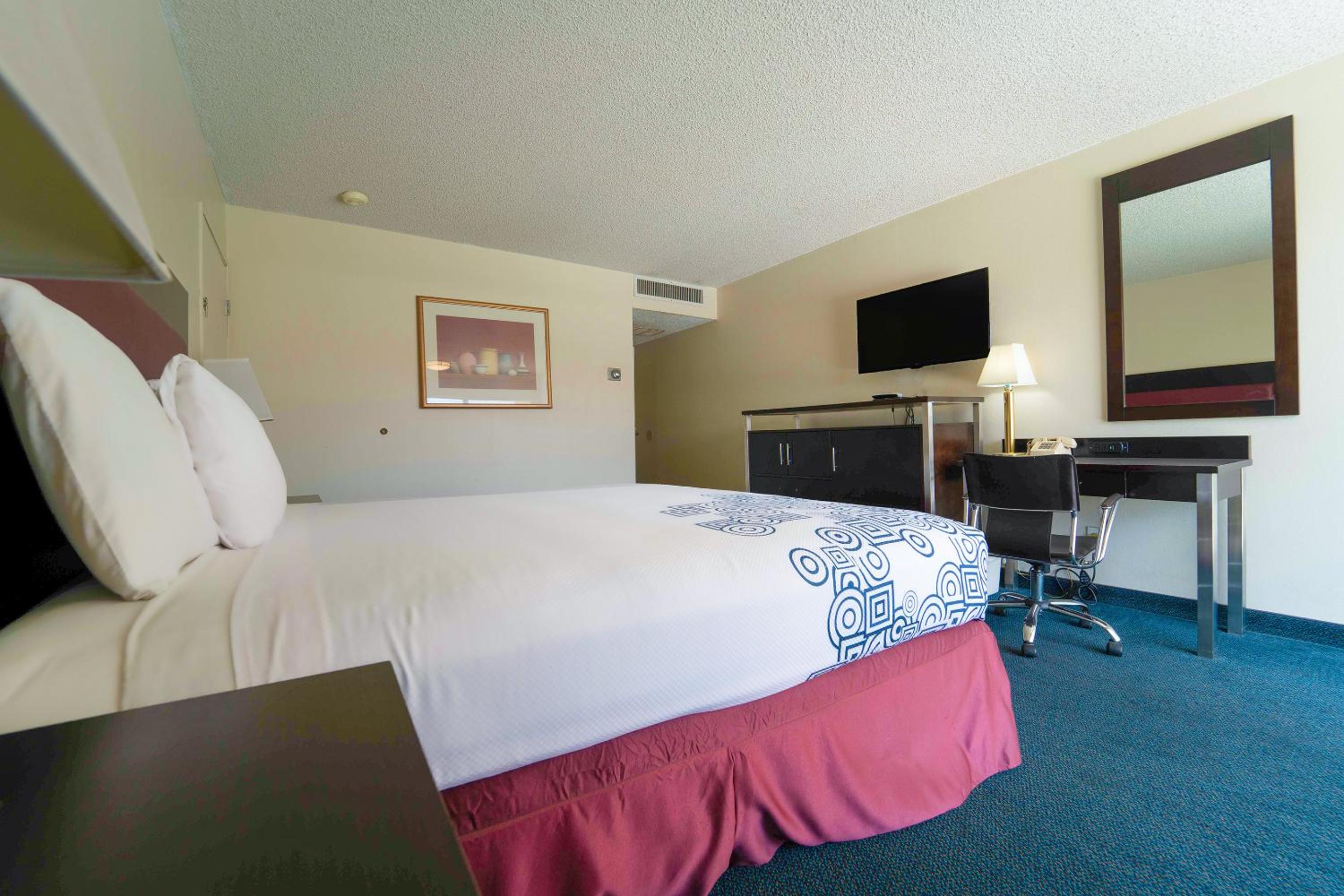 Deluxe King Bed	 - Photo 6