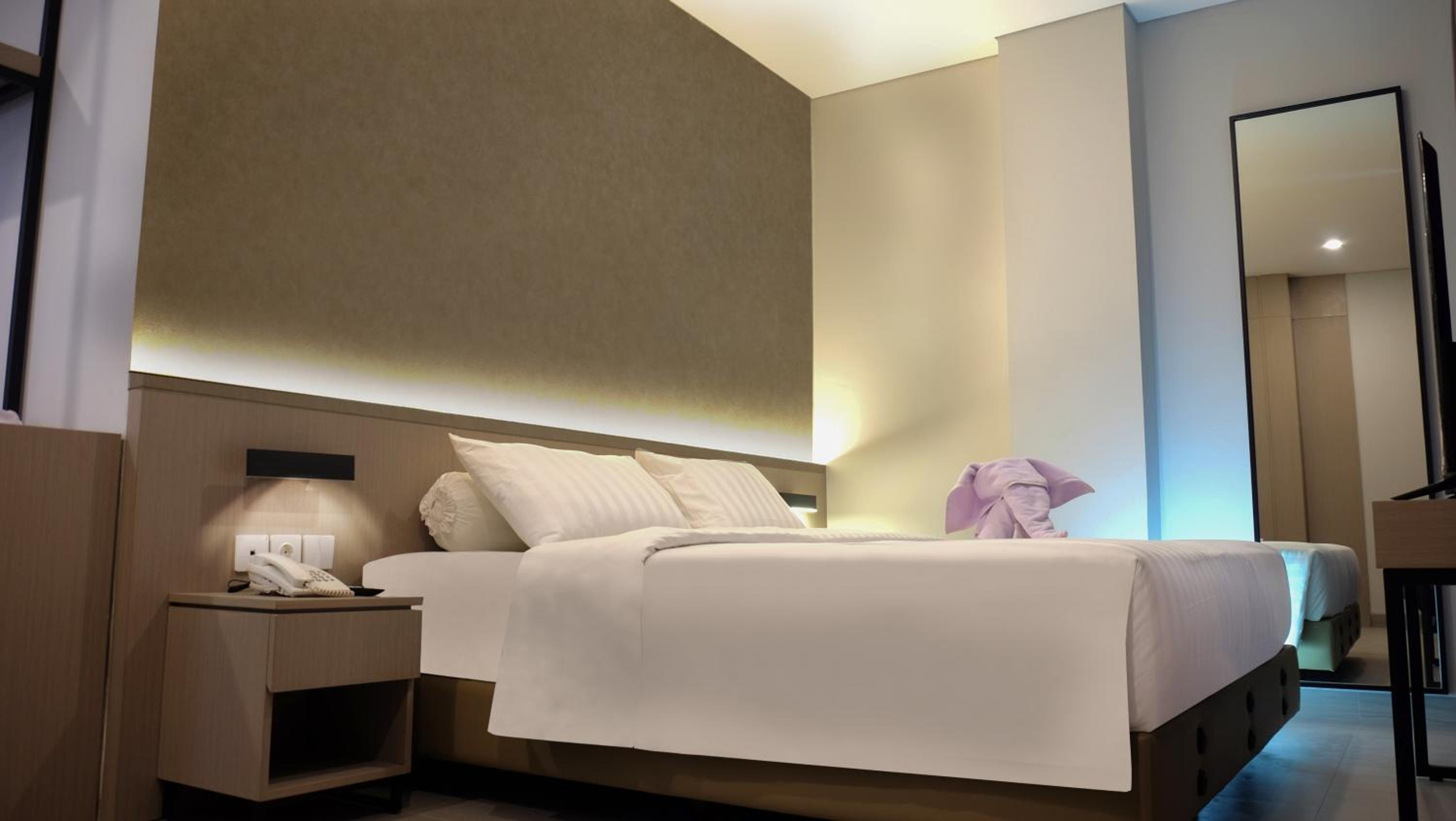 Suite - Photo 2