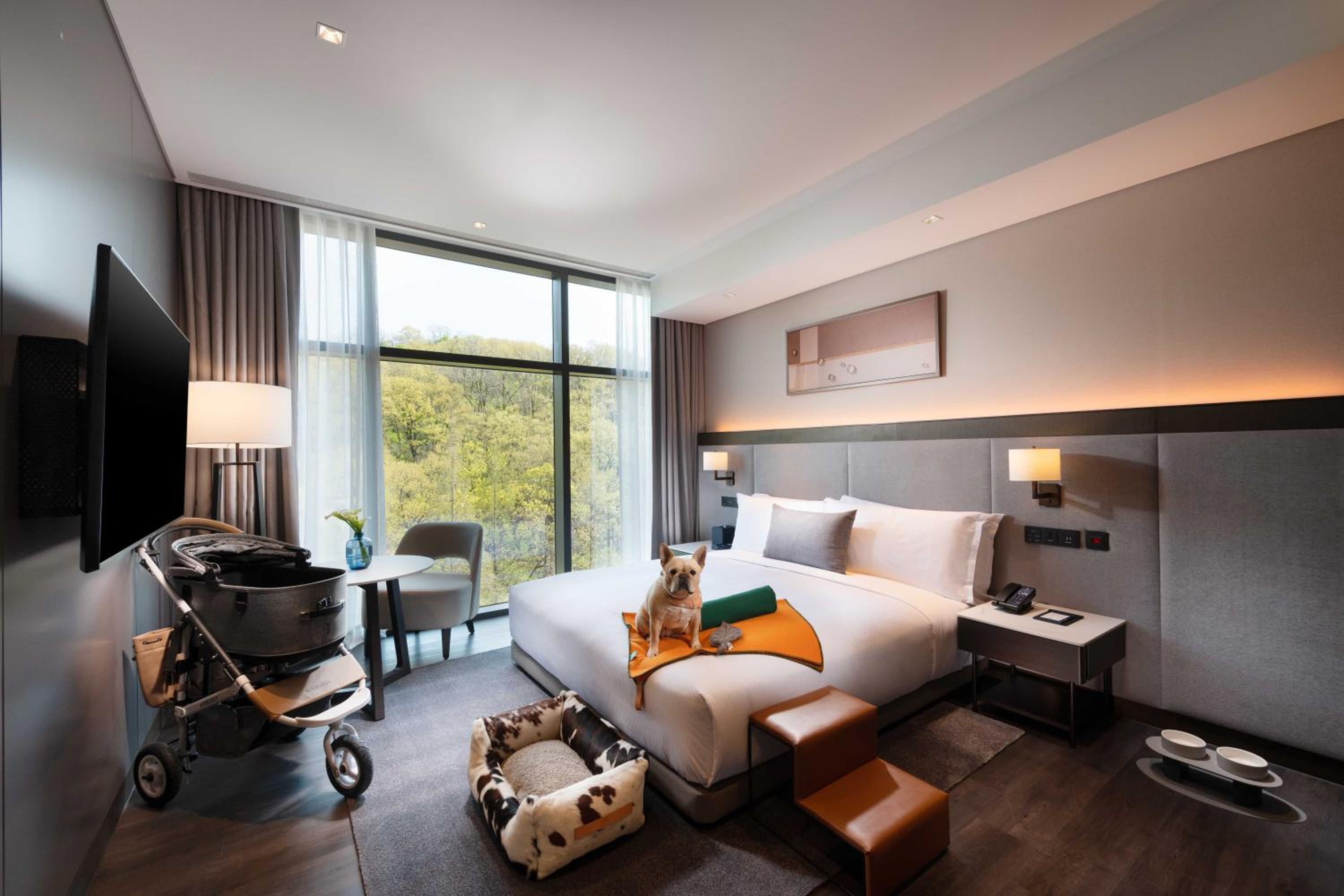 King Room - Mobility Accessible  - Photo 5