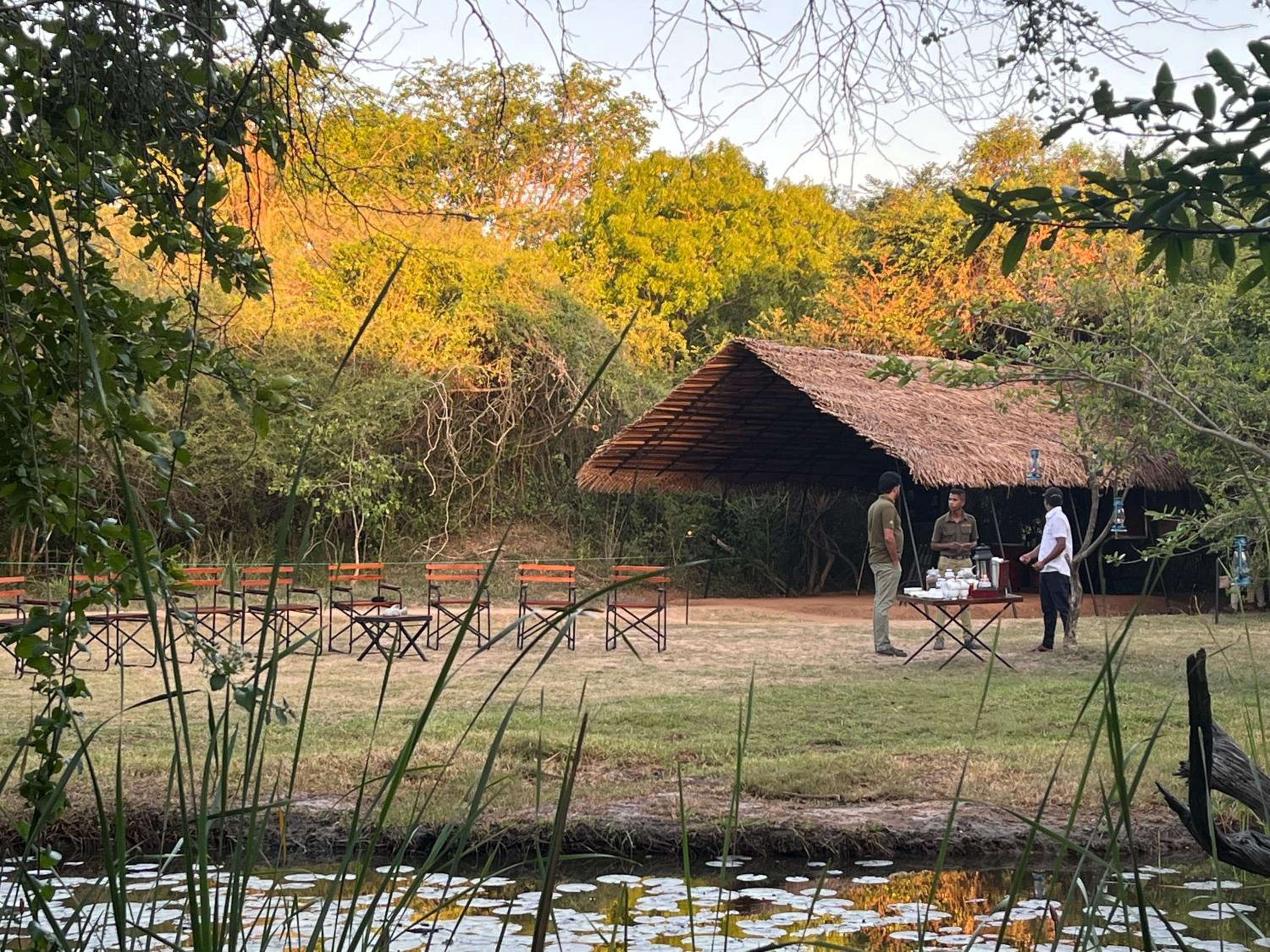 Glamping bordering Wilpattu with a Guided Safari photo 3