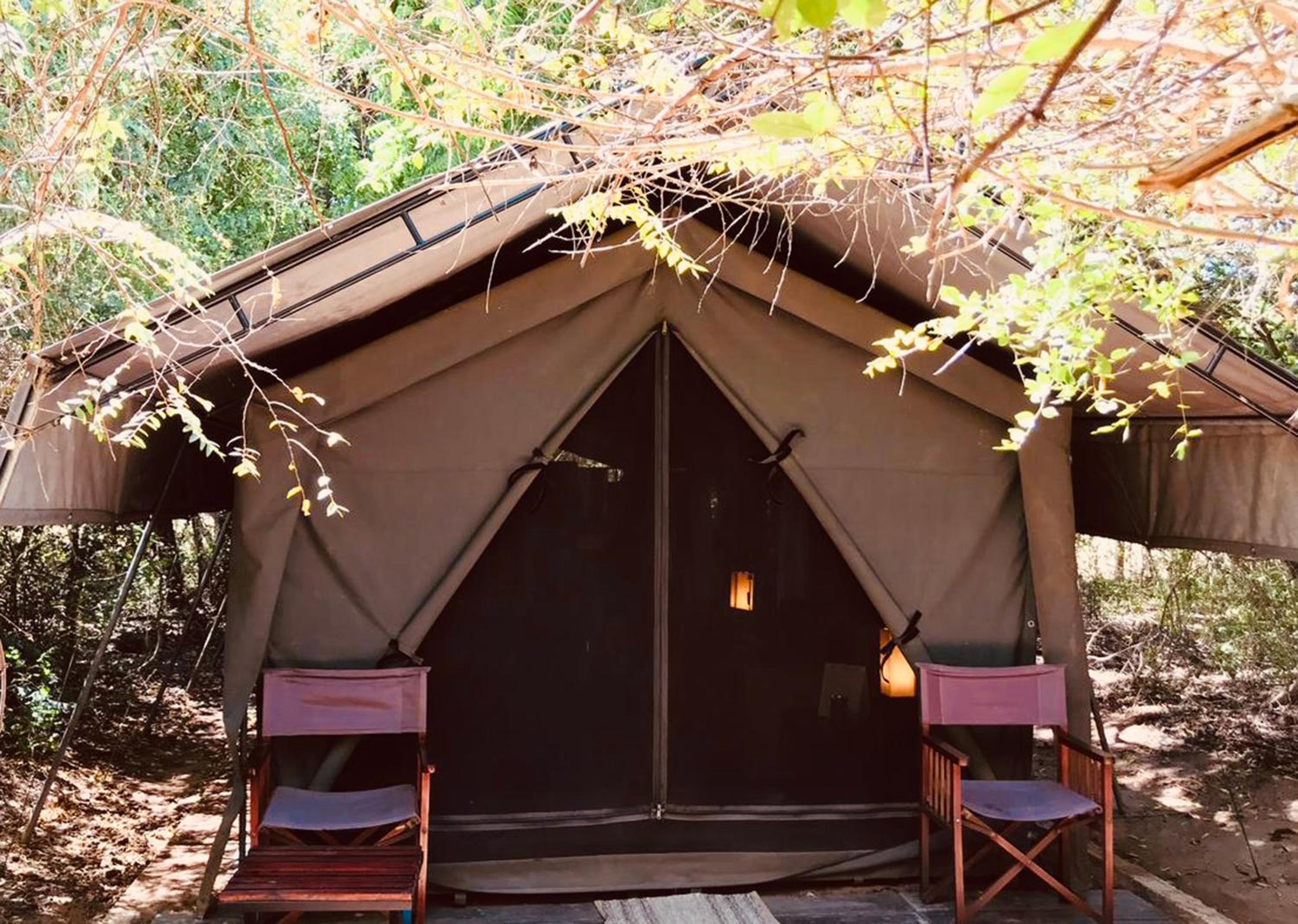 Glamping Suite Bordering Wilpattu with Guided Bush Walk photo 2
