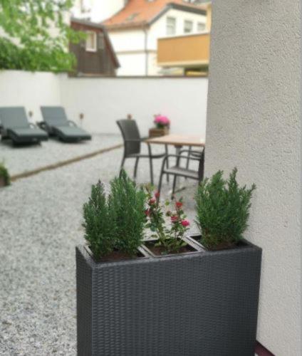 Superior Double Room with Terrace - Photo 2