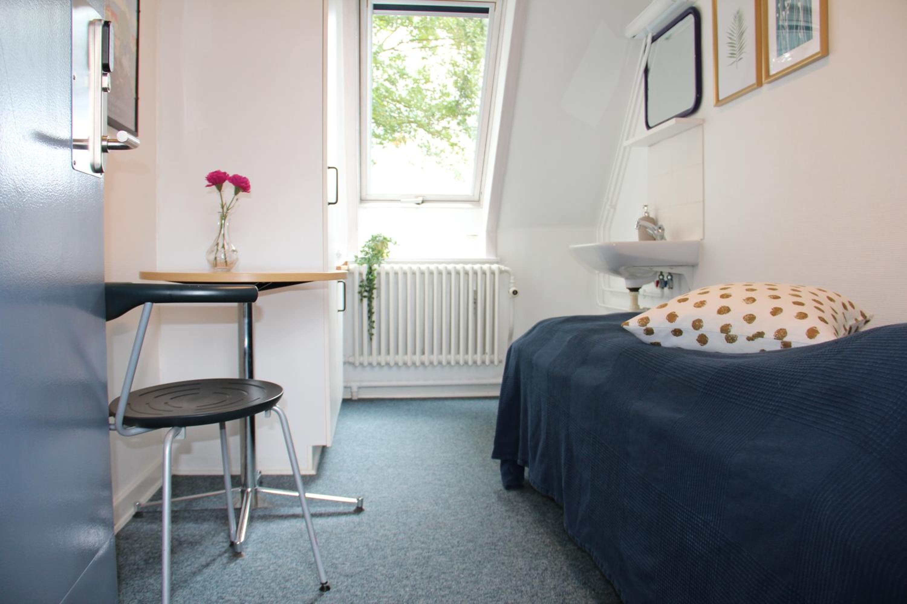 Single Room with Shared Shower and Toilet