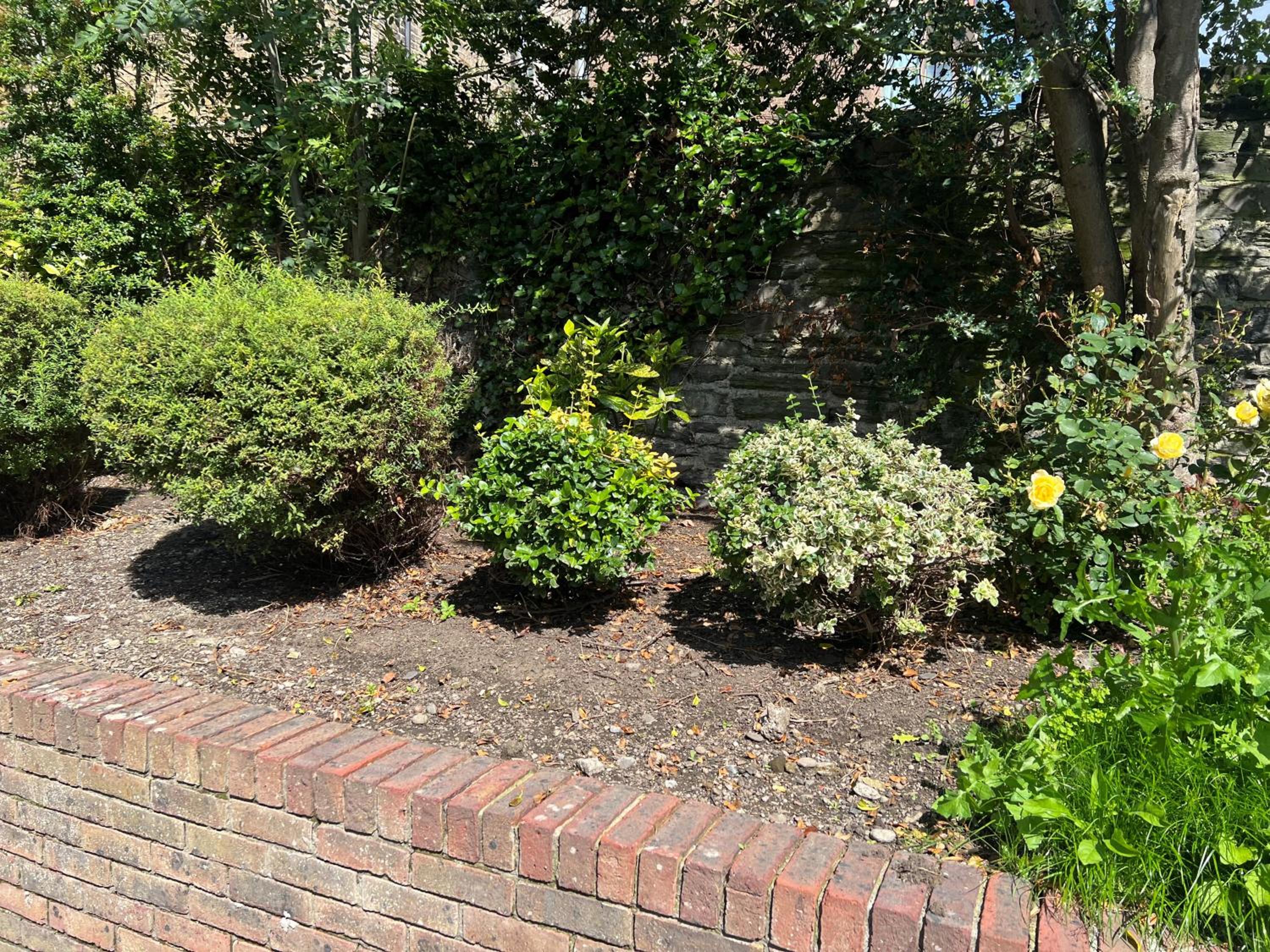 Garden Suite