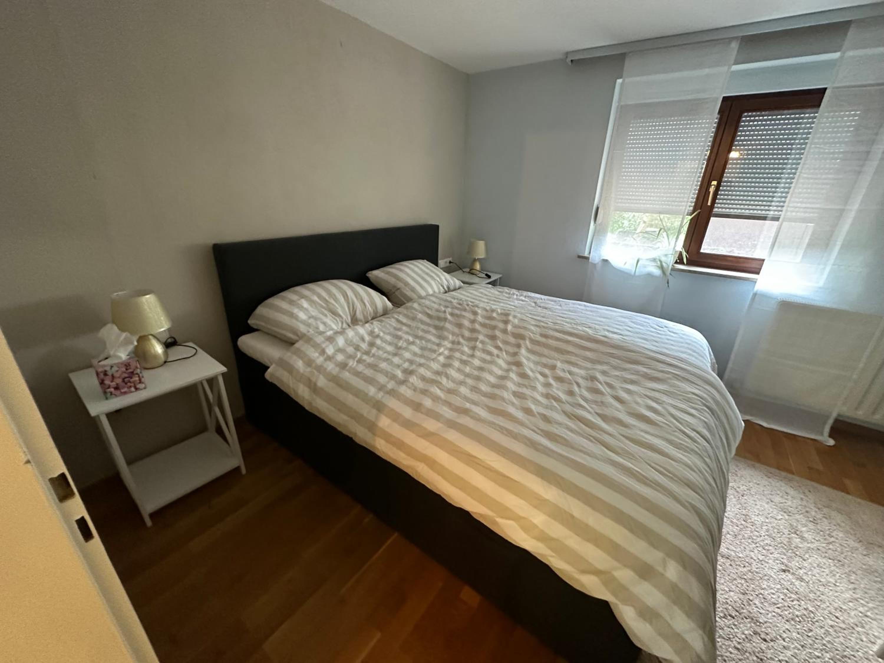 One-Bedroom Apartment photo 3