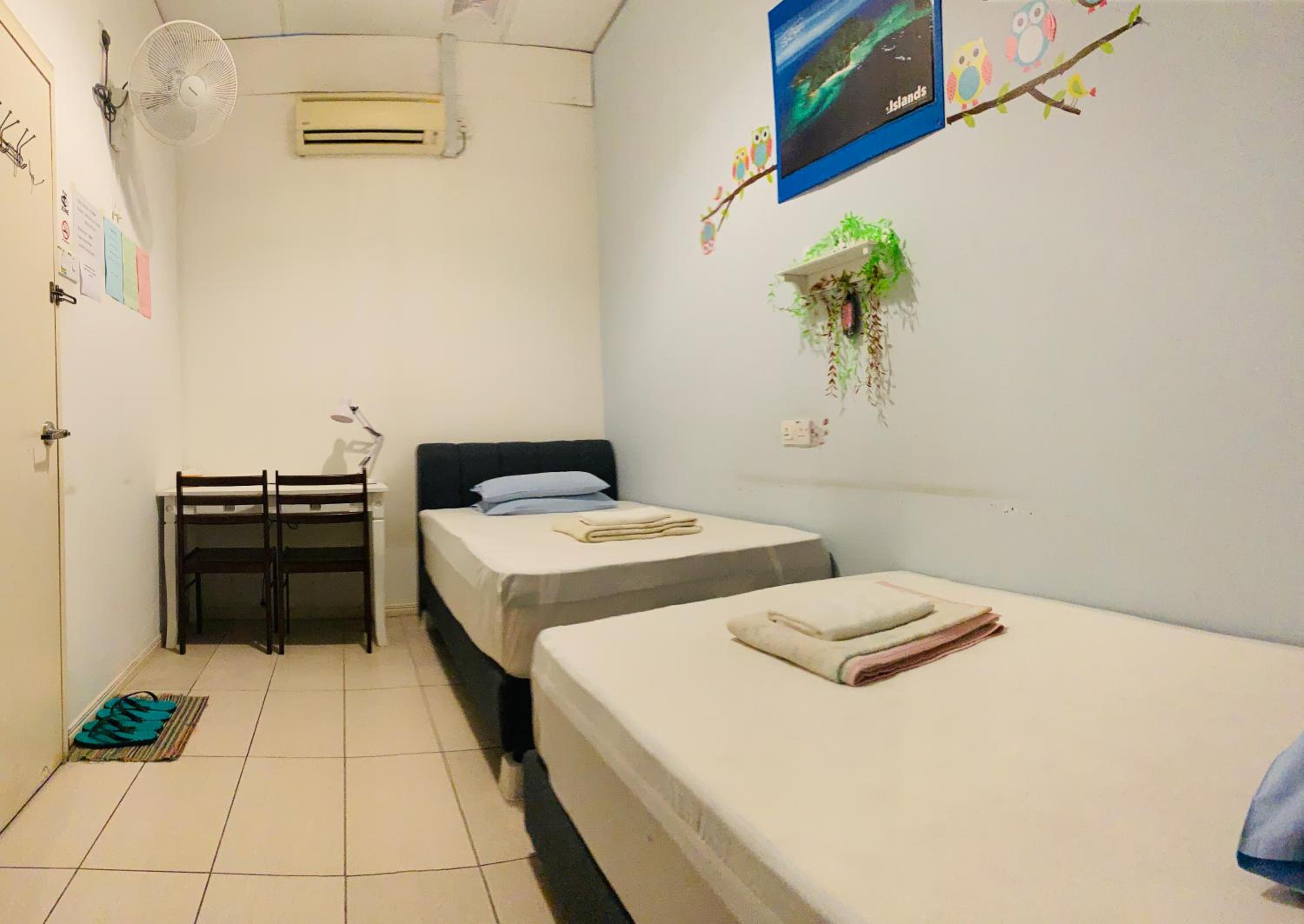 Large Twin Room photo 3