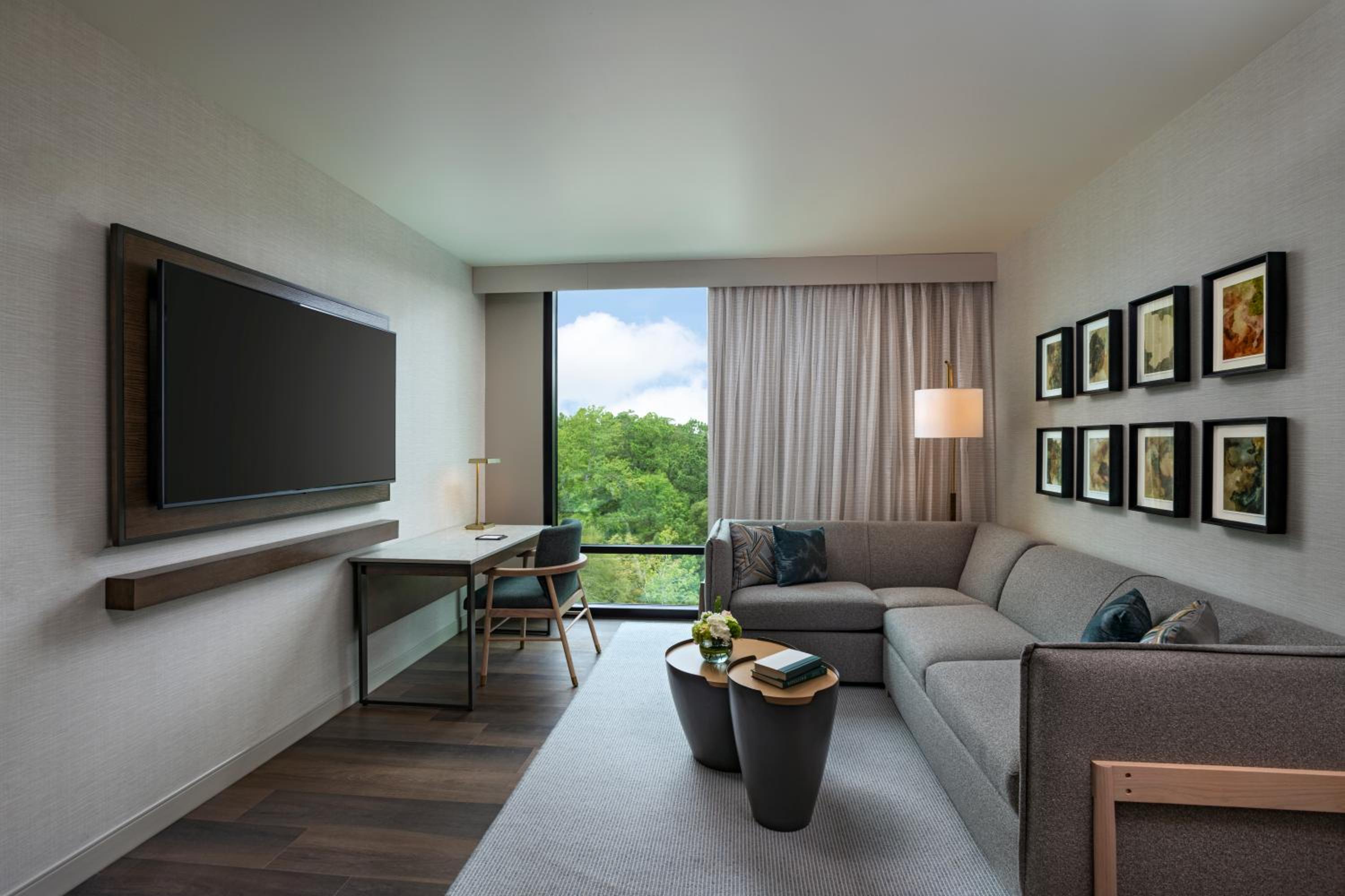 Premium Suite - Photo 4