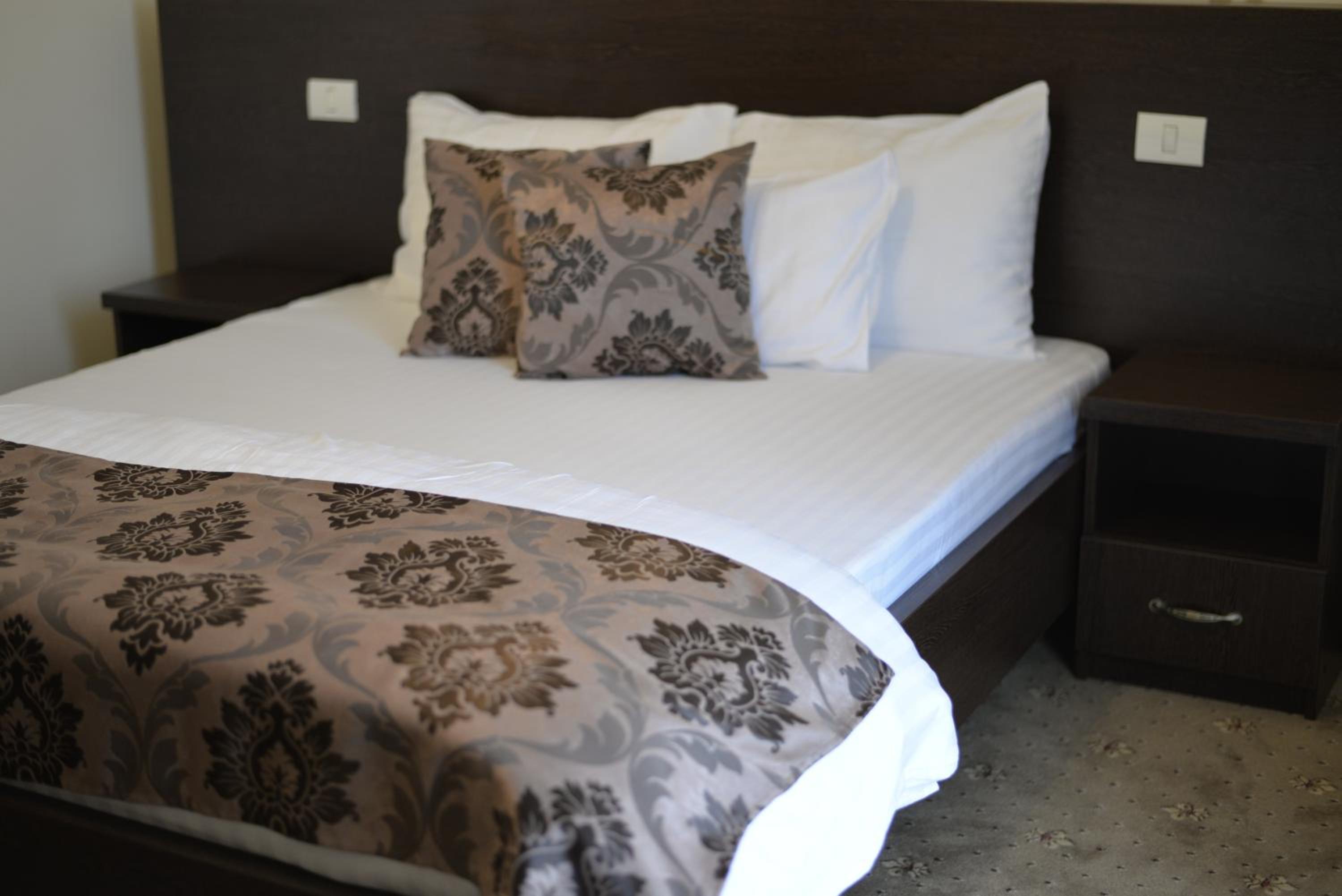 Suite - Photo 1