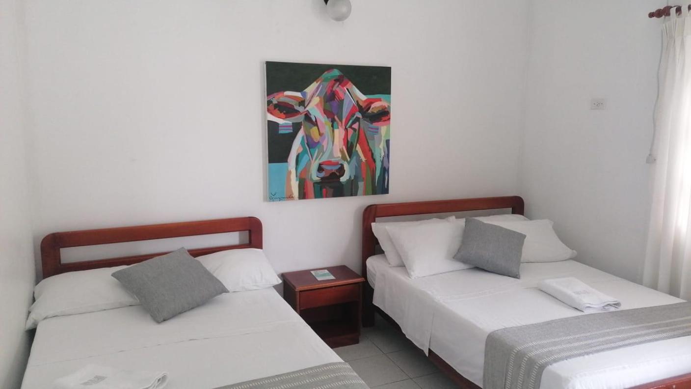 Twin Room photo 3