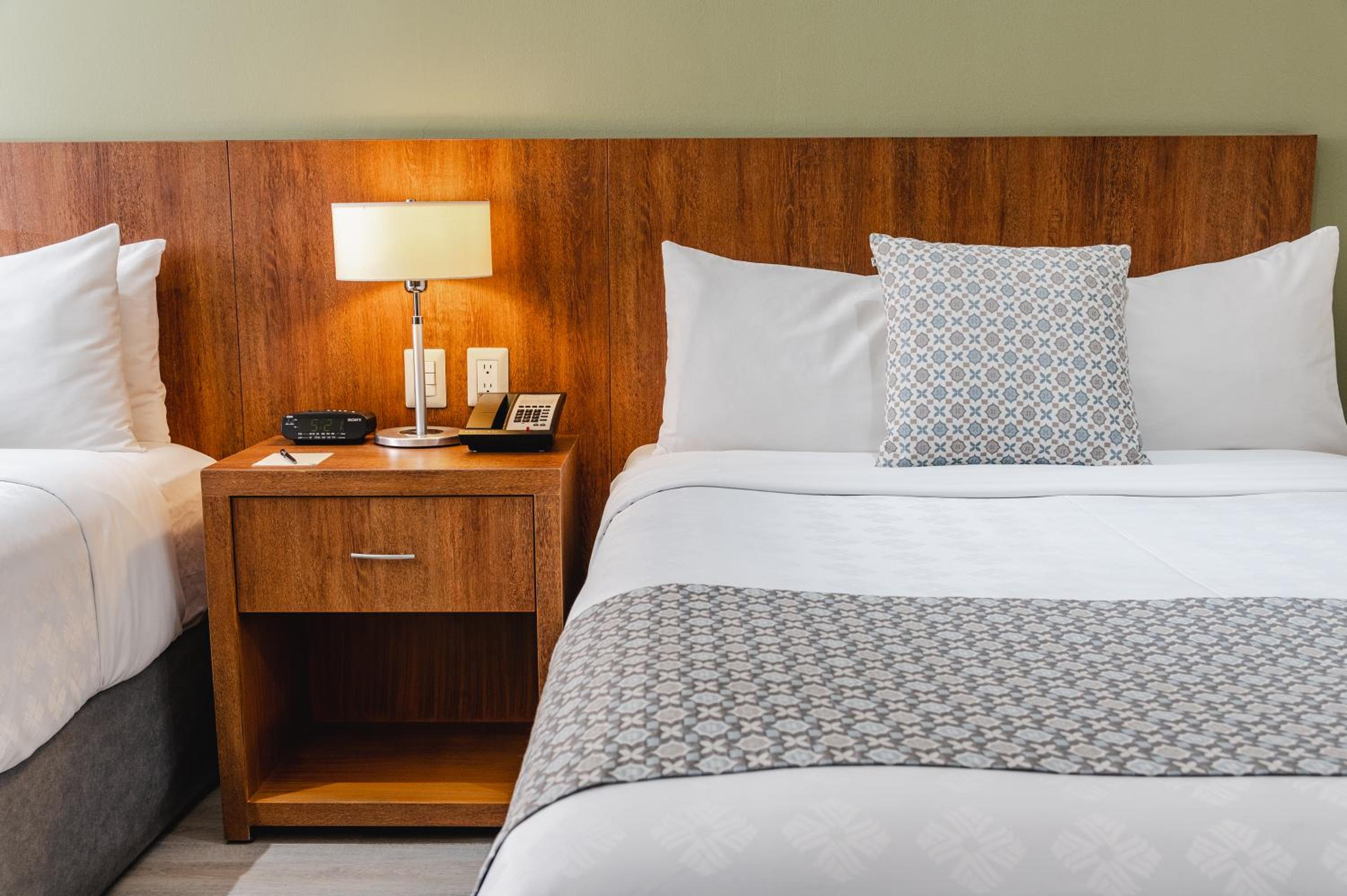 Business Room with Two Full Beds - Photo 1