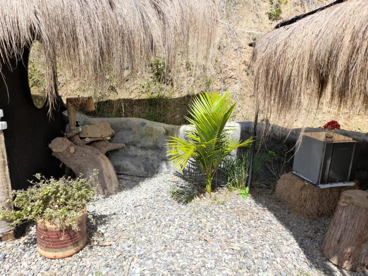 Isla Alcón photo 3