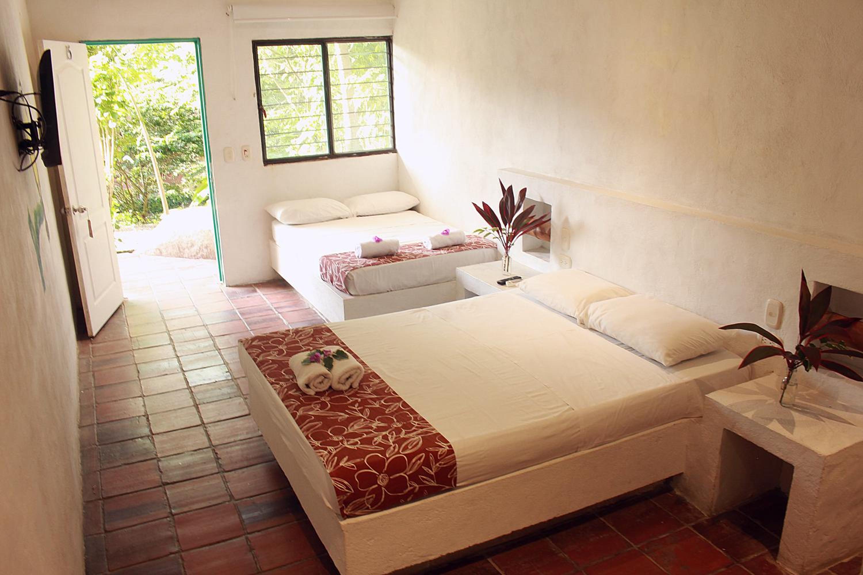 Triple Room photo 1