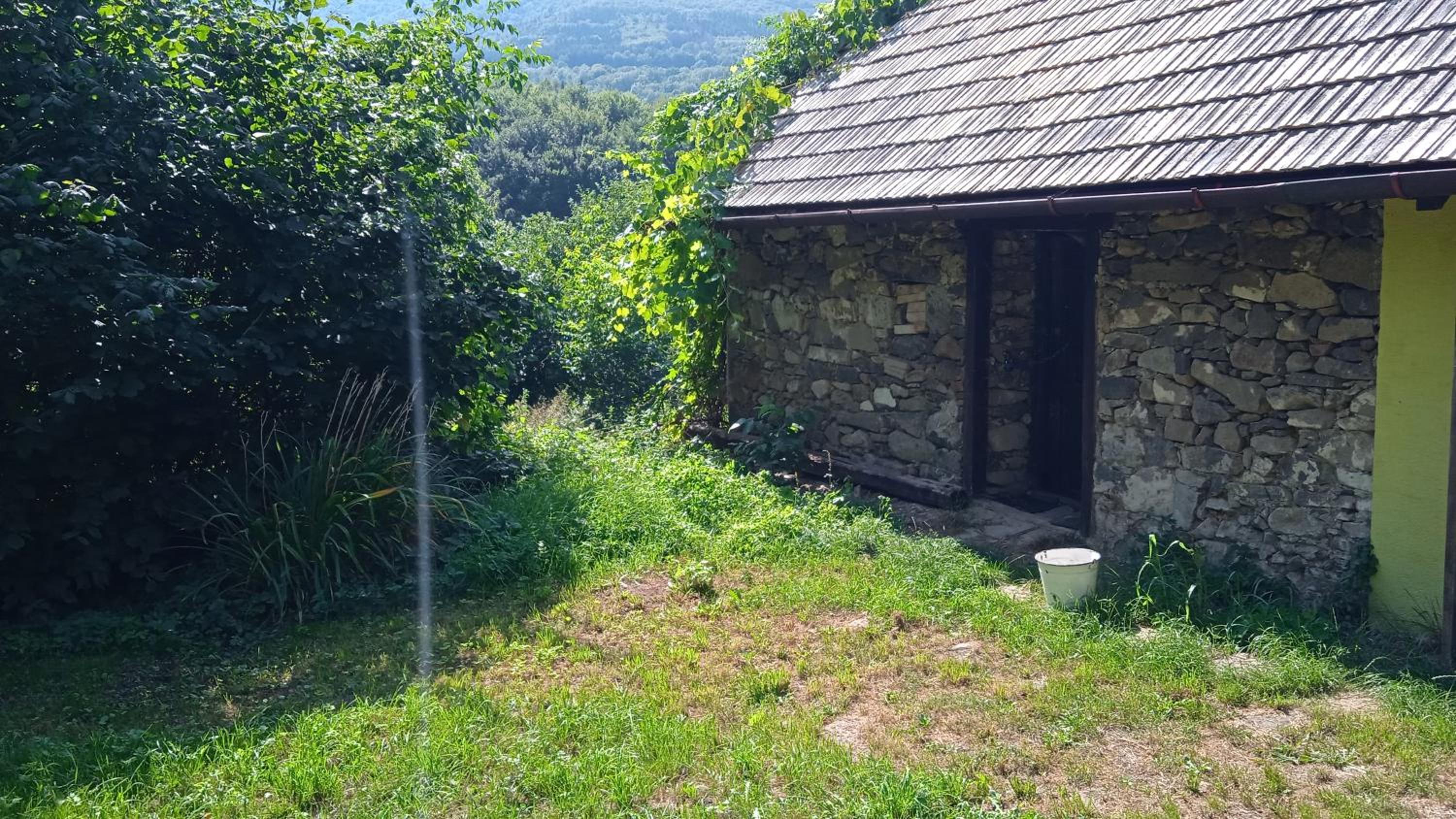 One-Bedroom House photo 3