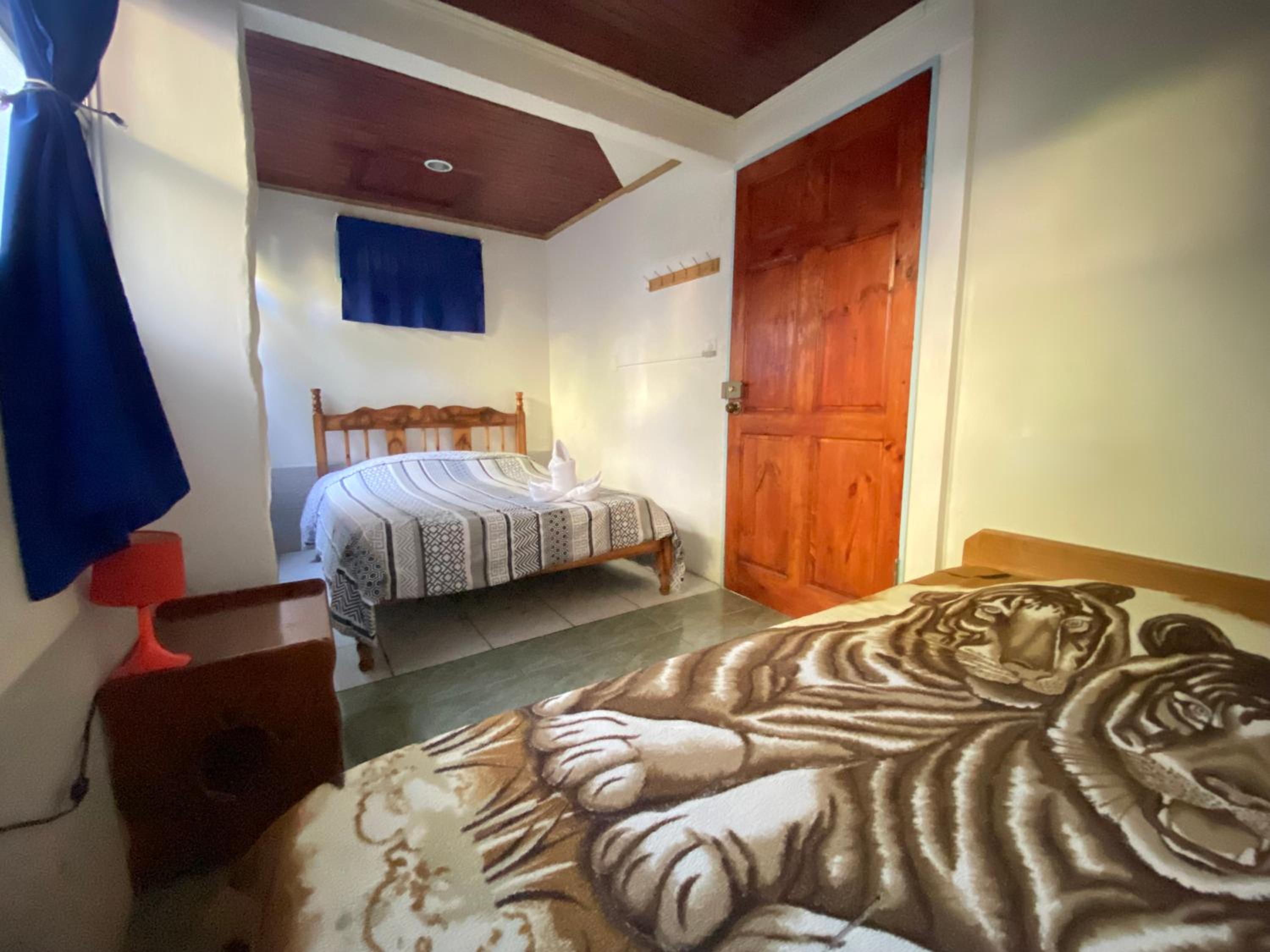 Triple Room With Shared Bathroom photo 3