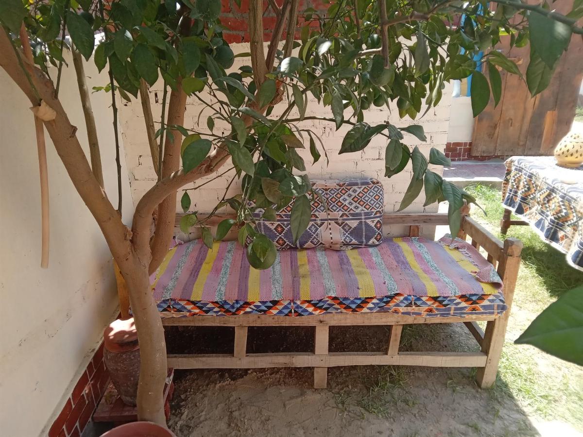 One-Bedroom House - Photo 17