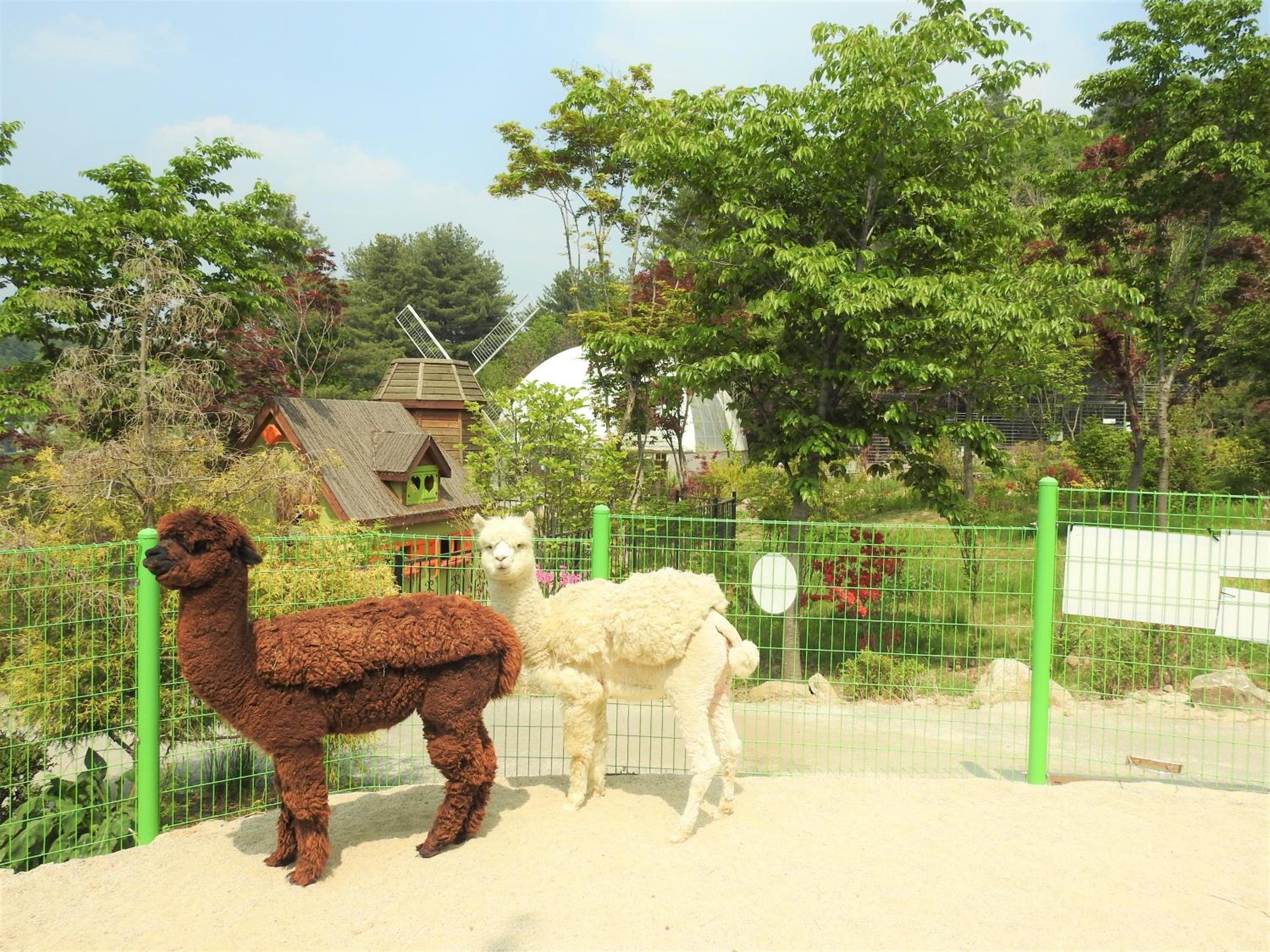 Special Offer - Premier Plus - 28PY with 2 Zoo Ticket ( 1 Adult, 1 Child) photo 3