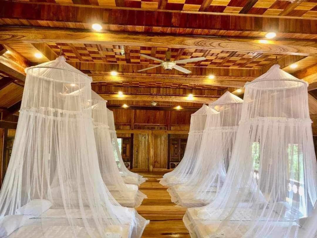 Single Bed in Mixed Dormitory Room photo 1