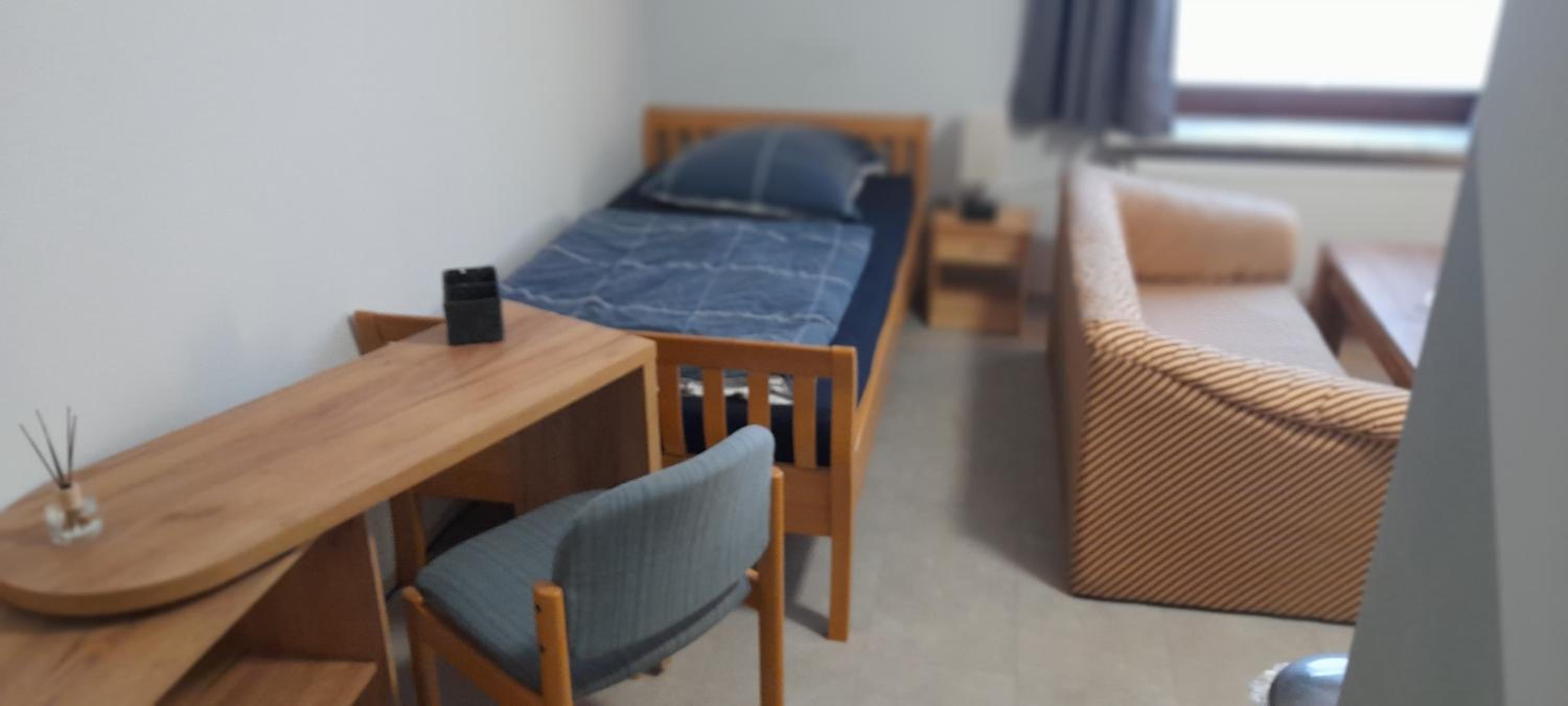 One-Bedroom Apartment photo 3