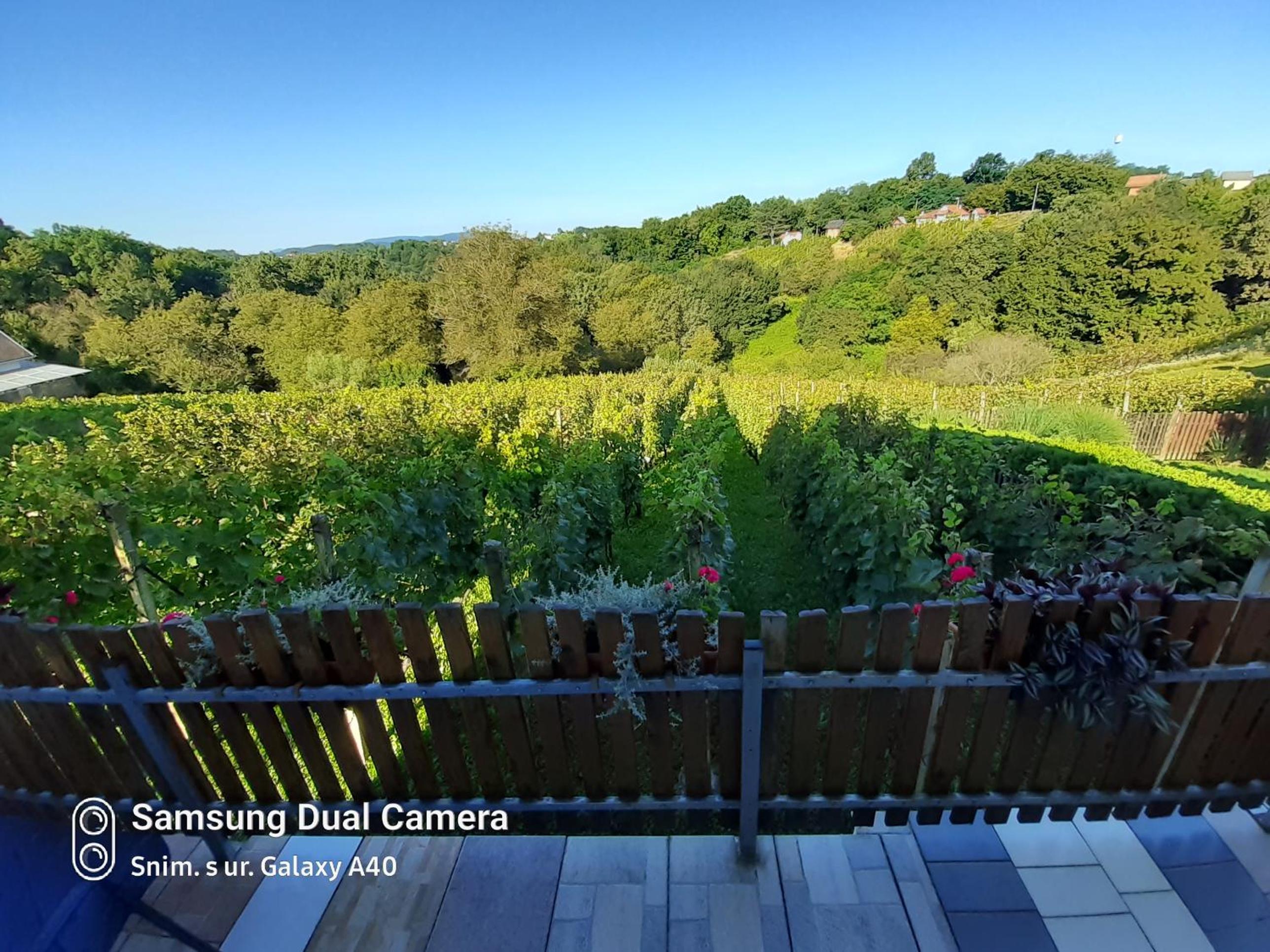 Standard Villa - Photo 6