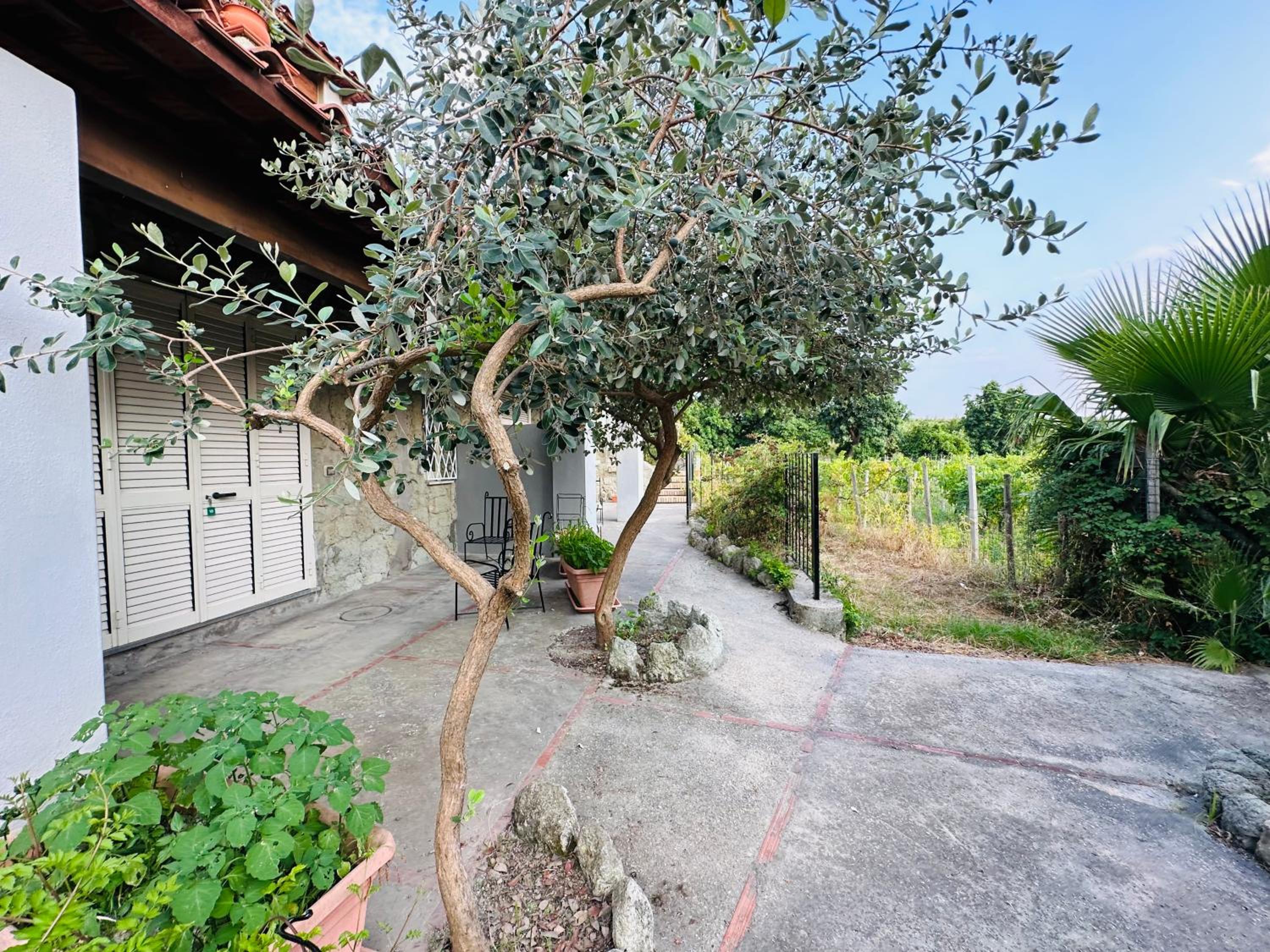 Double Or Twin Room With Garden View