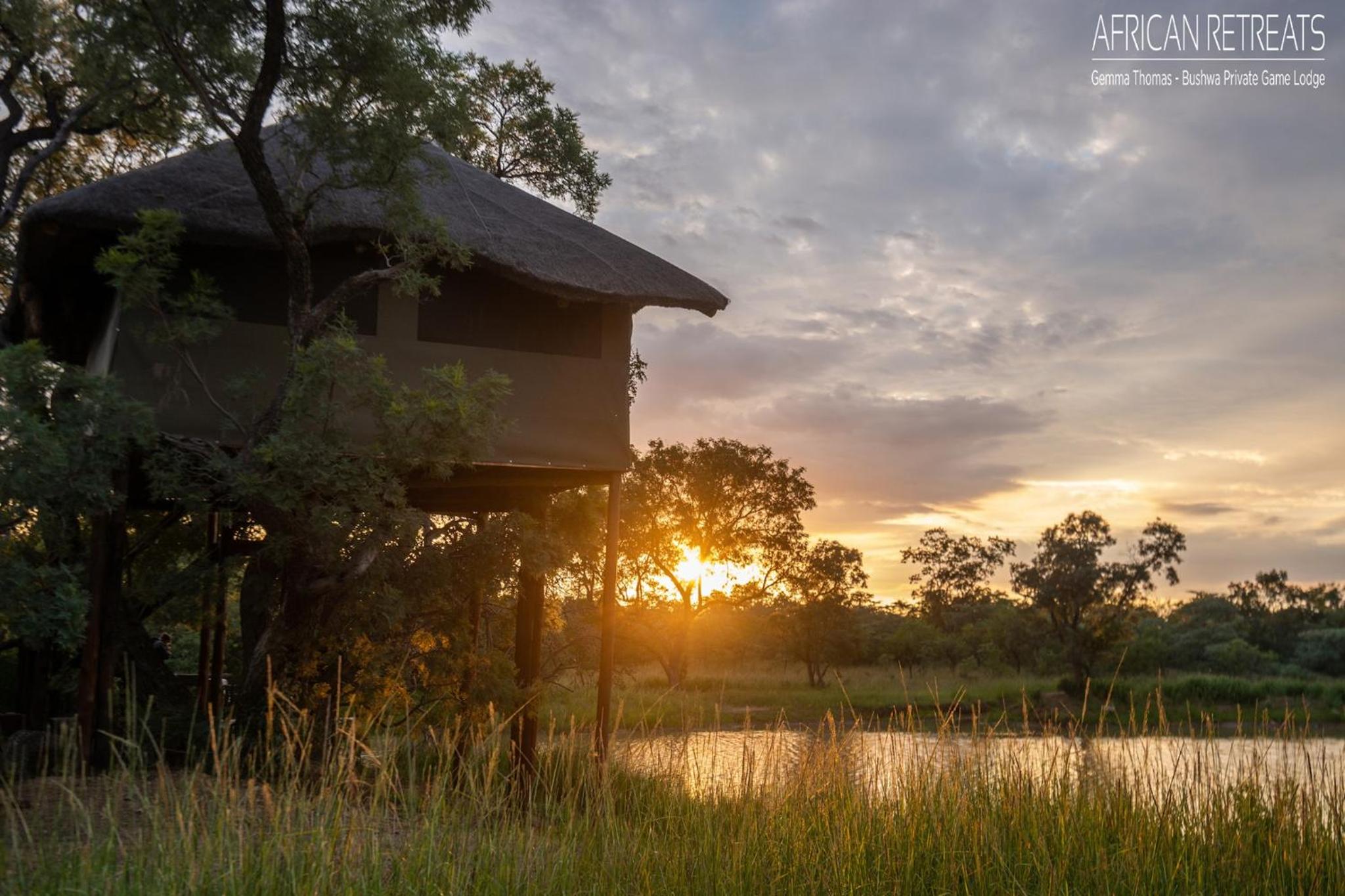 Luxury Cabin - Photo 5