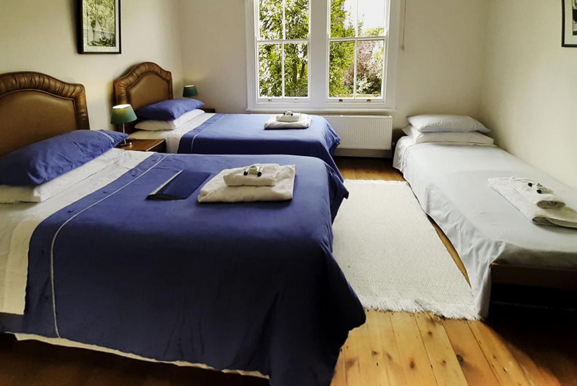Deluxe Double or Twin Room photo 1