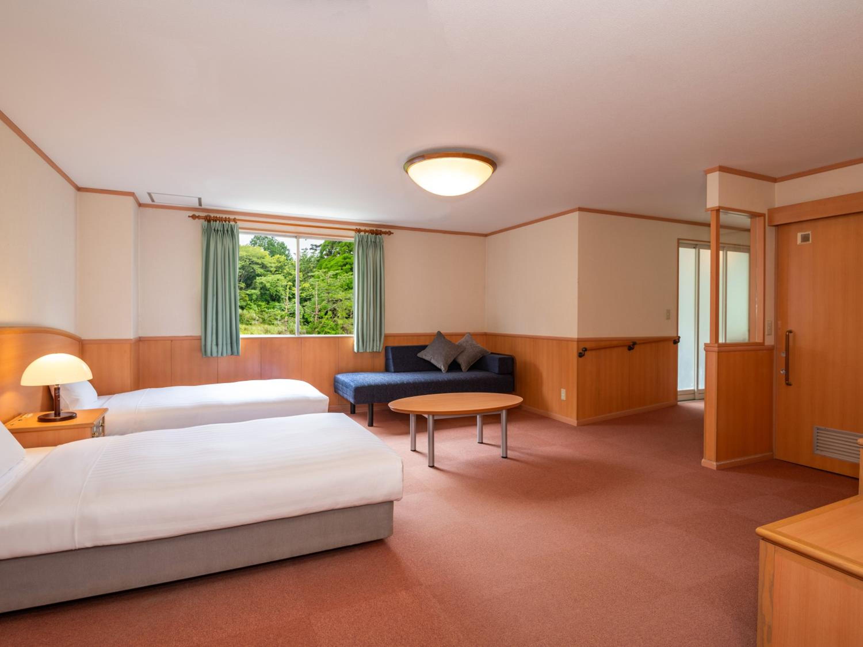 Twin Room - Disability Access