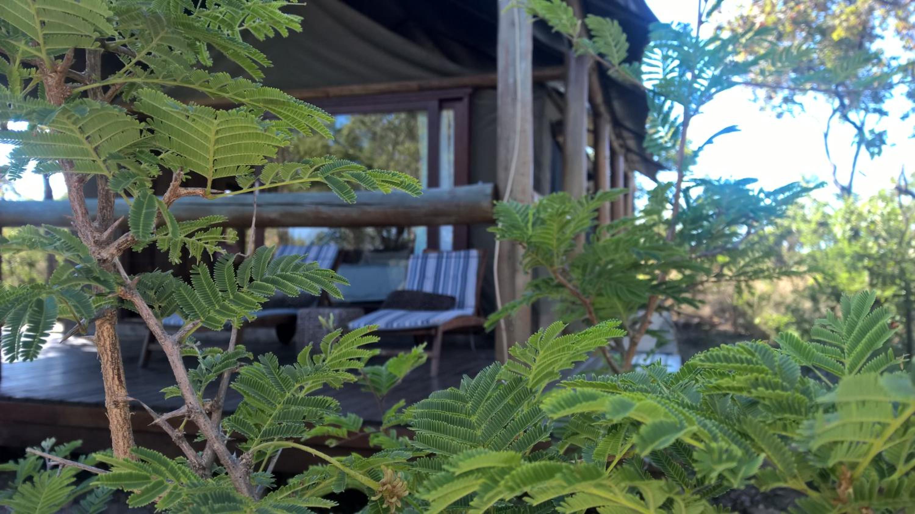 Deluxe Tent - Photo 1