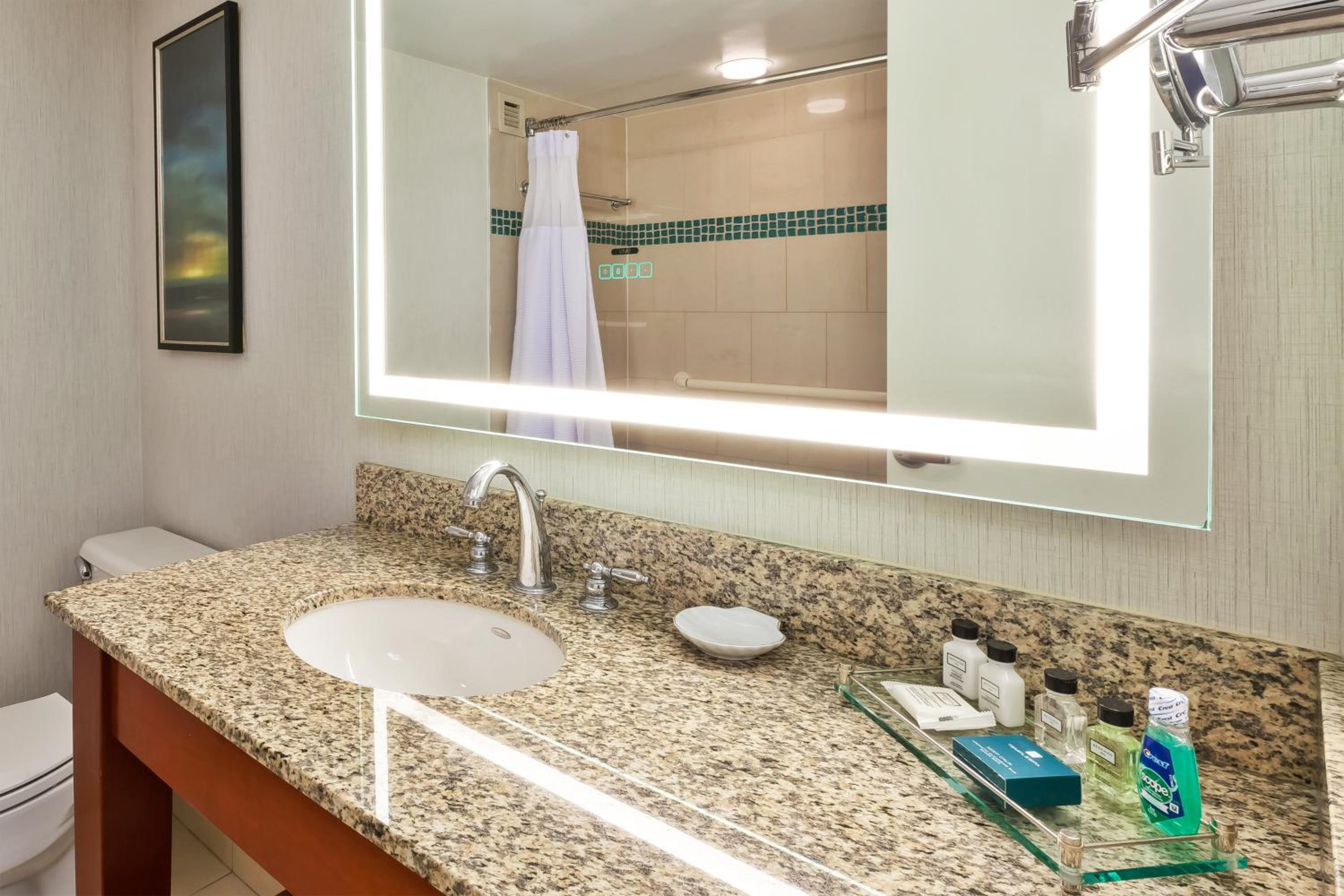 Premium King Room photo 3