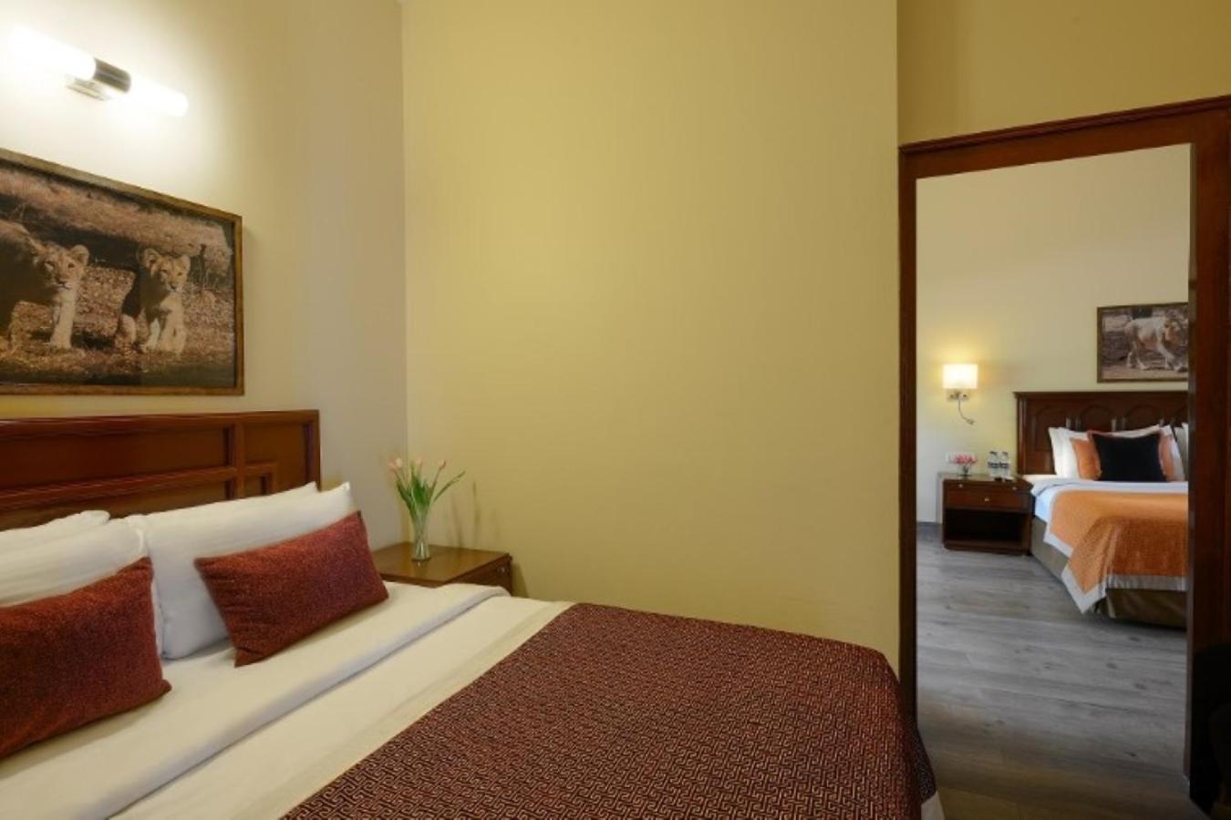 Deluxe Suite - Photo 4