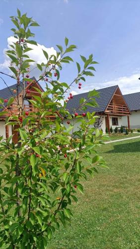 Three-Bedroom Chalet photo 1