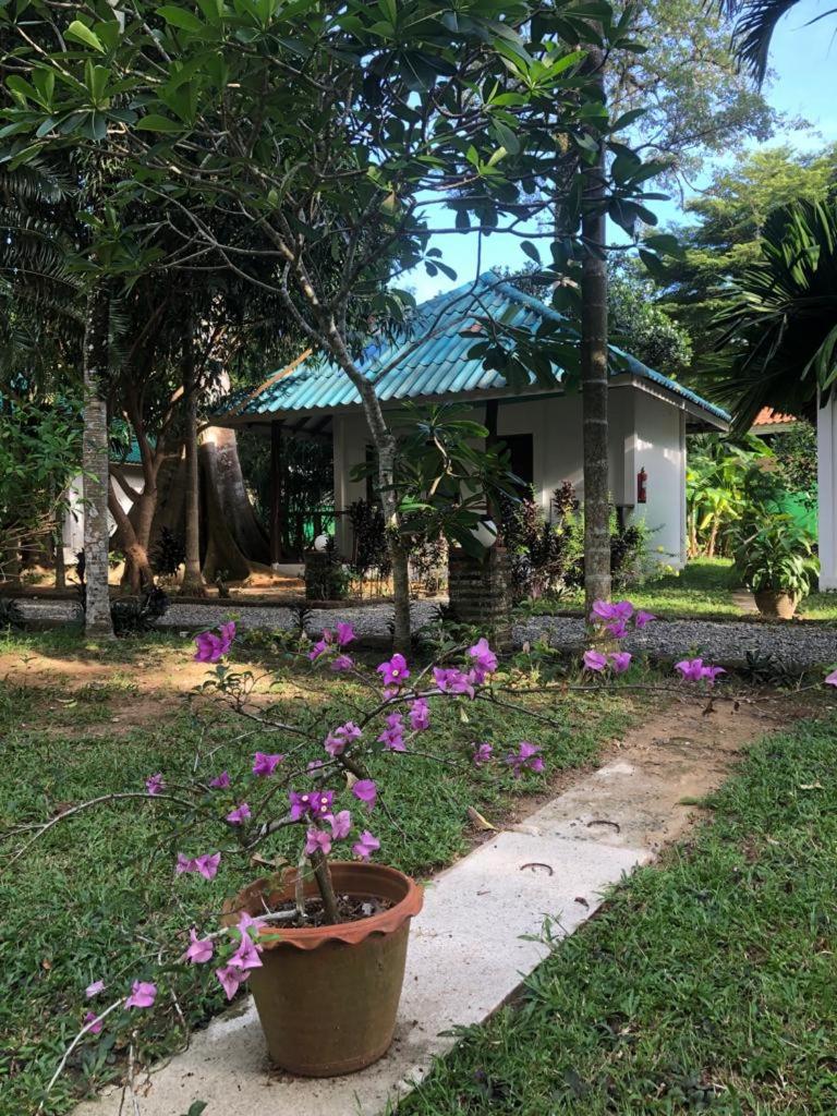 Bungalow with Garden View - Photo 8