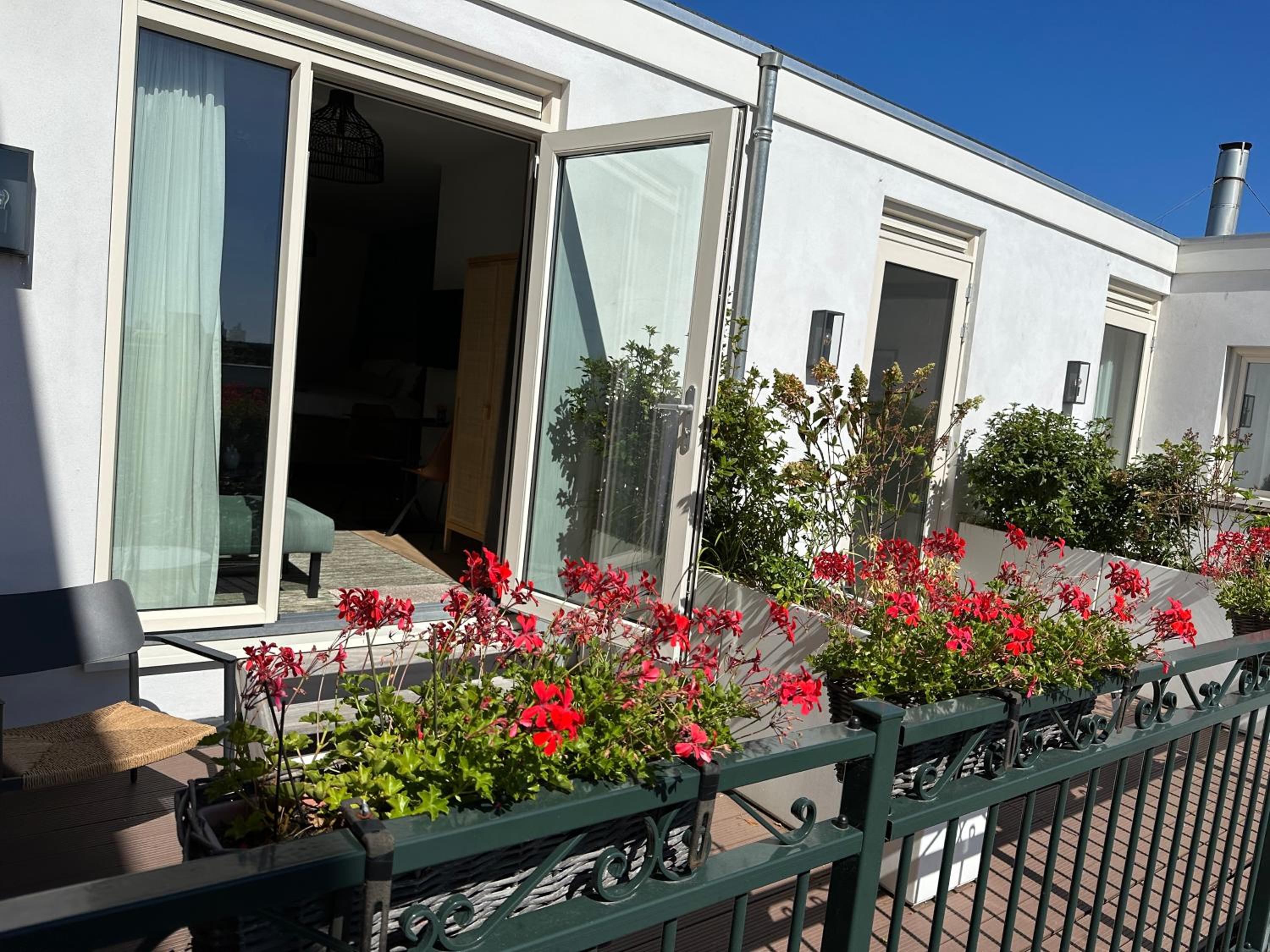 Suite with Terrace - Photo 17