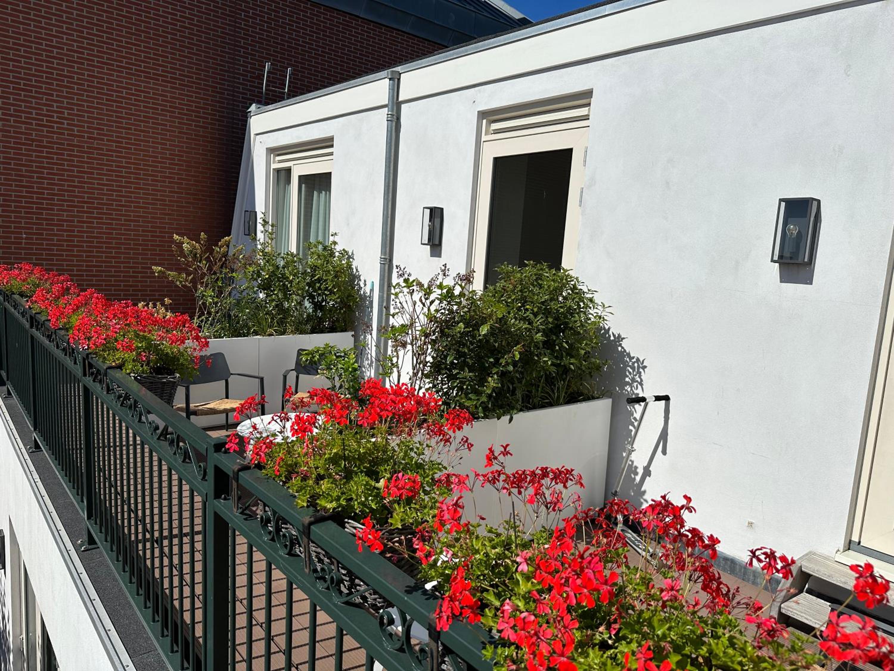 Suite with Balcony - Photo 19