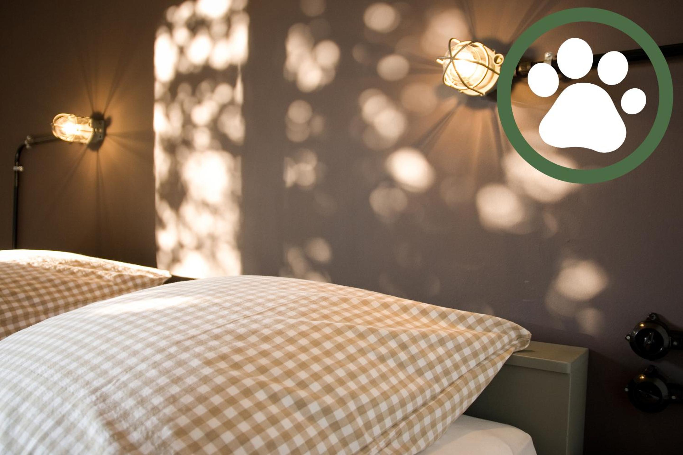 Superior Double Room - Photo 1