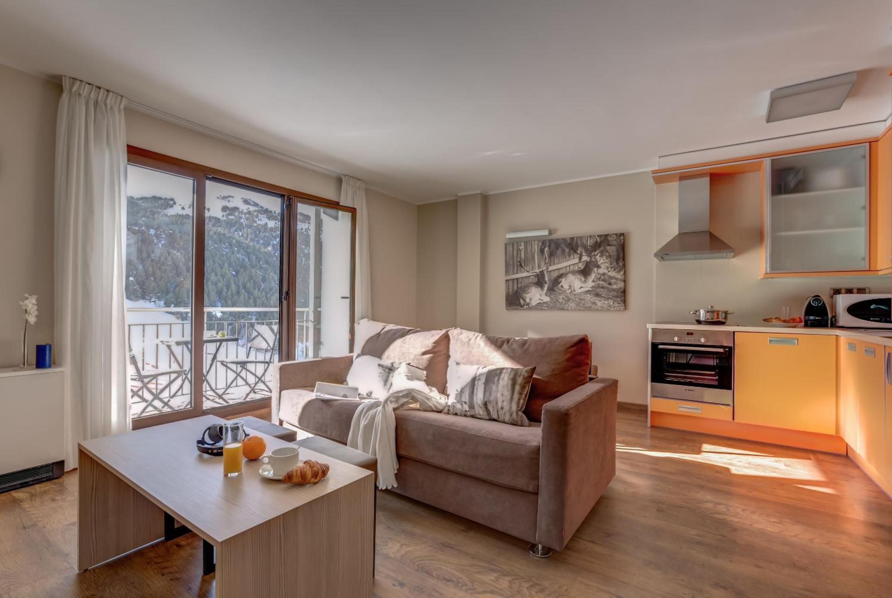 One-Bedroom Apartment With Mountain View