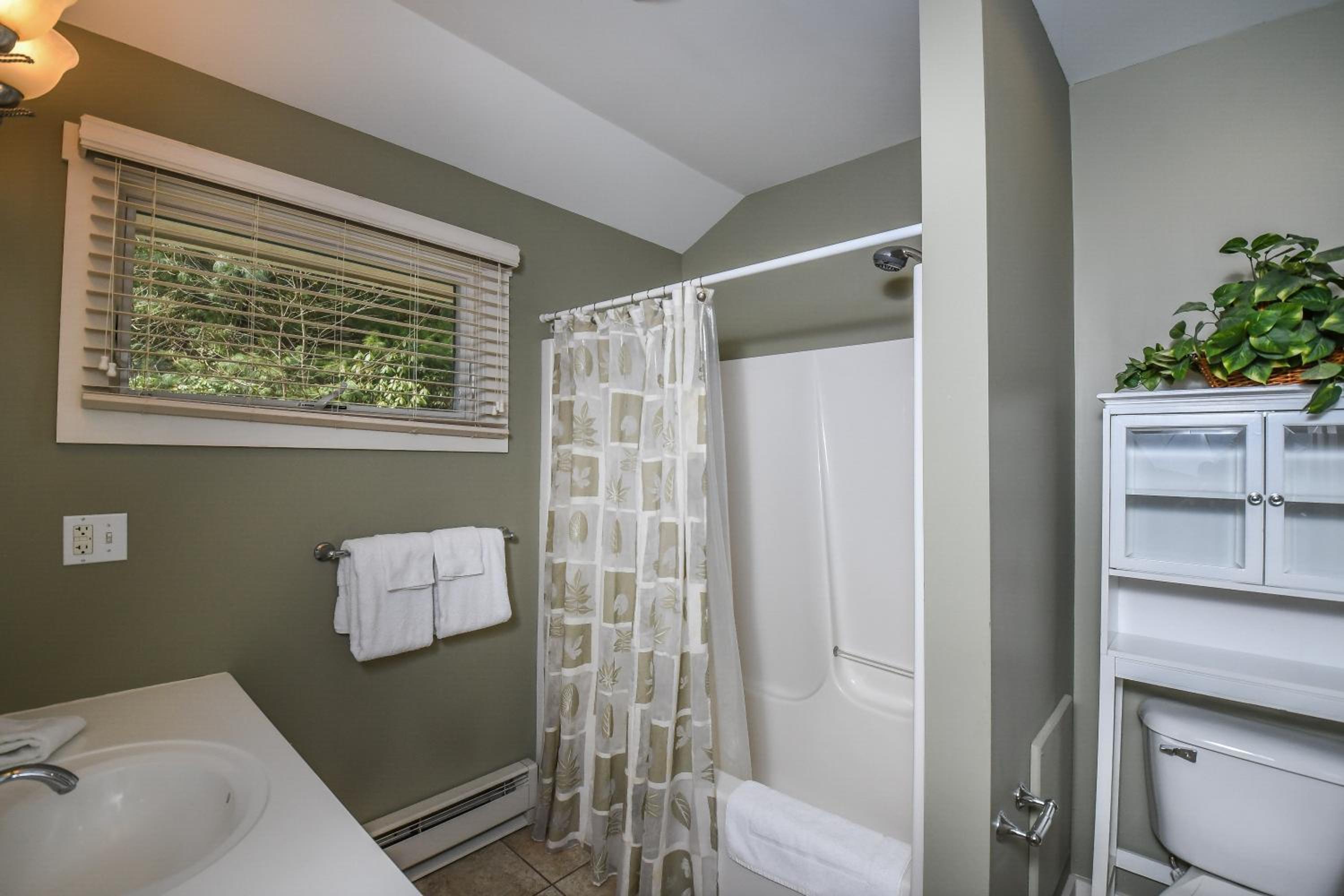 Four-Bedroom House photo 3
