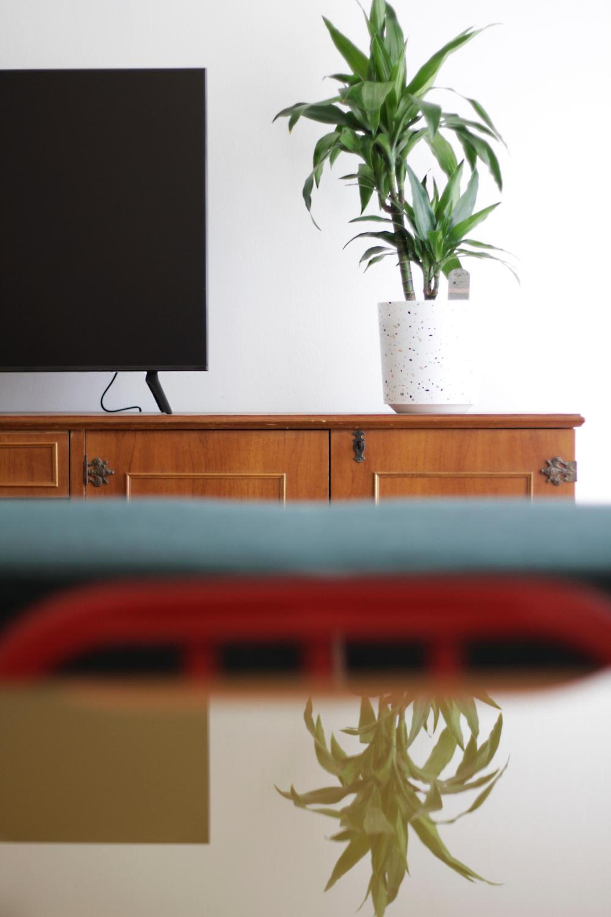 Superior Apartment photo 1
