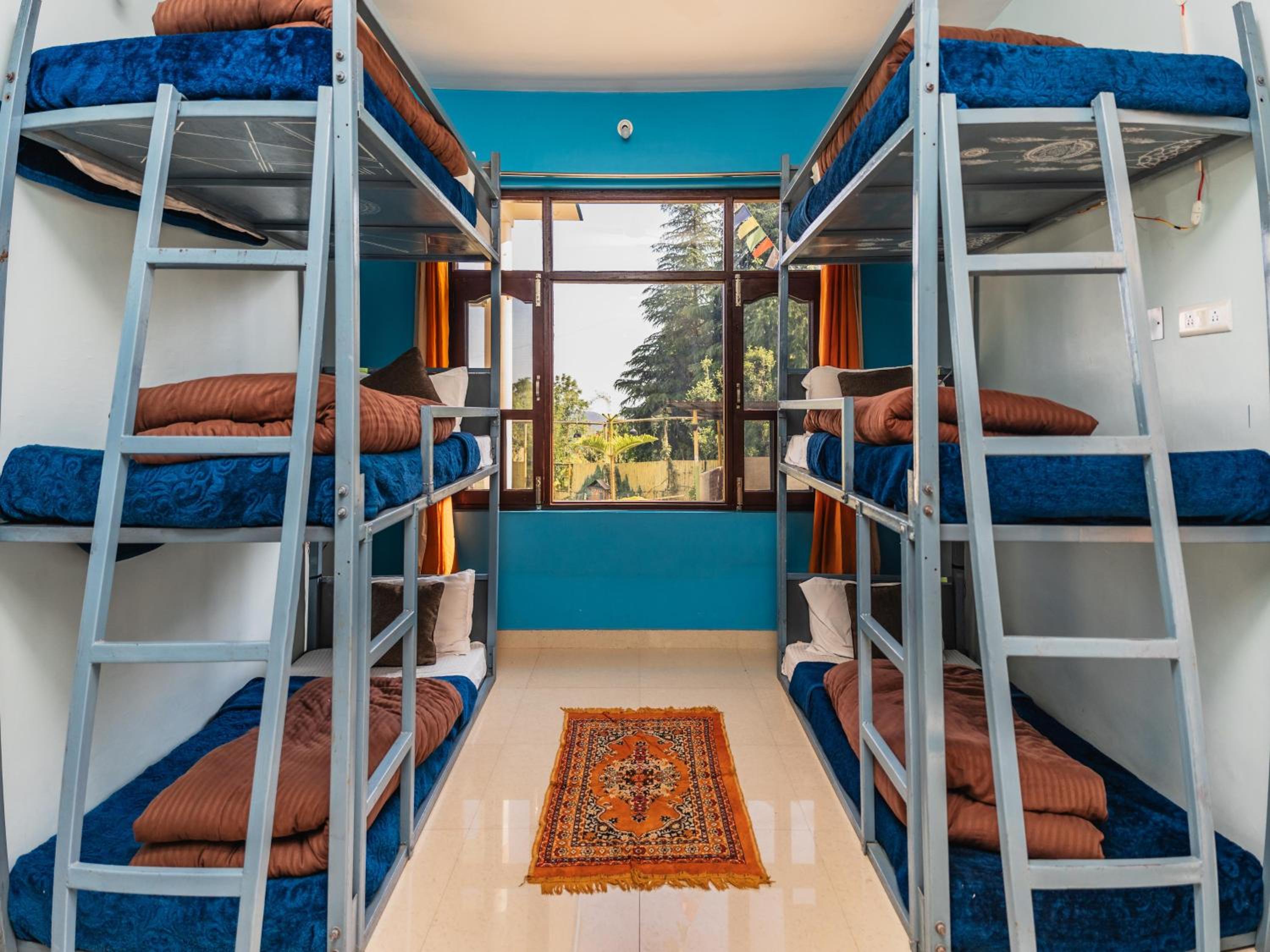 Bed in 6-Bed Mixed Dormitory Room photo 1