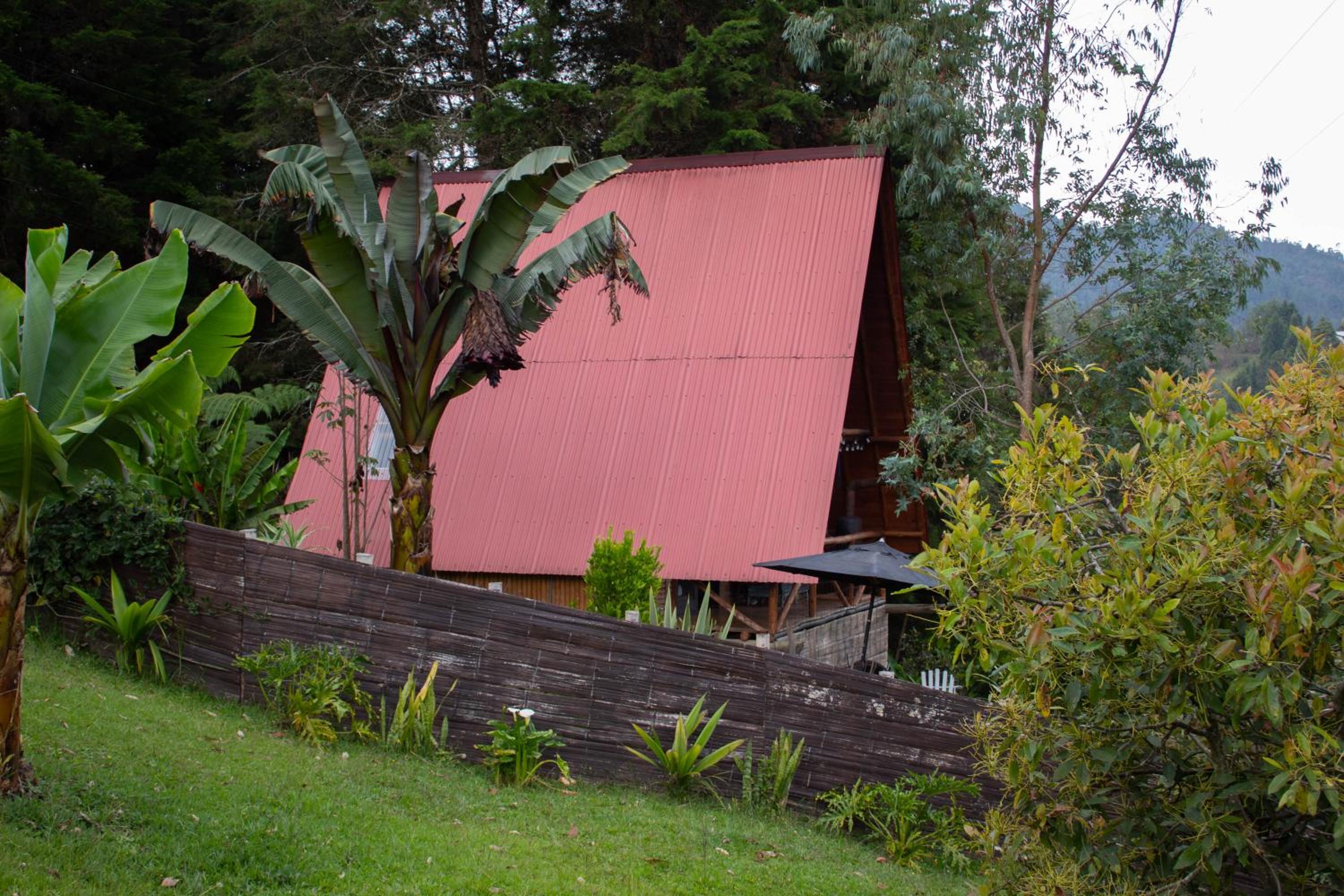 One-Bedroom House photo 3