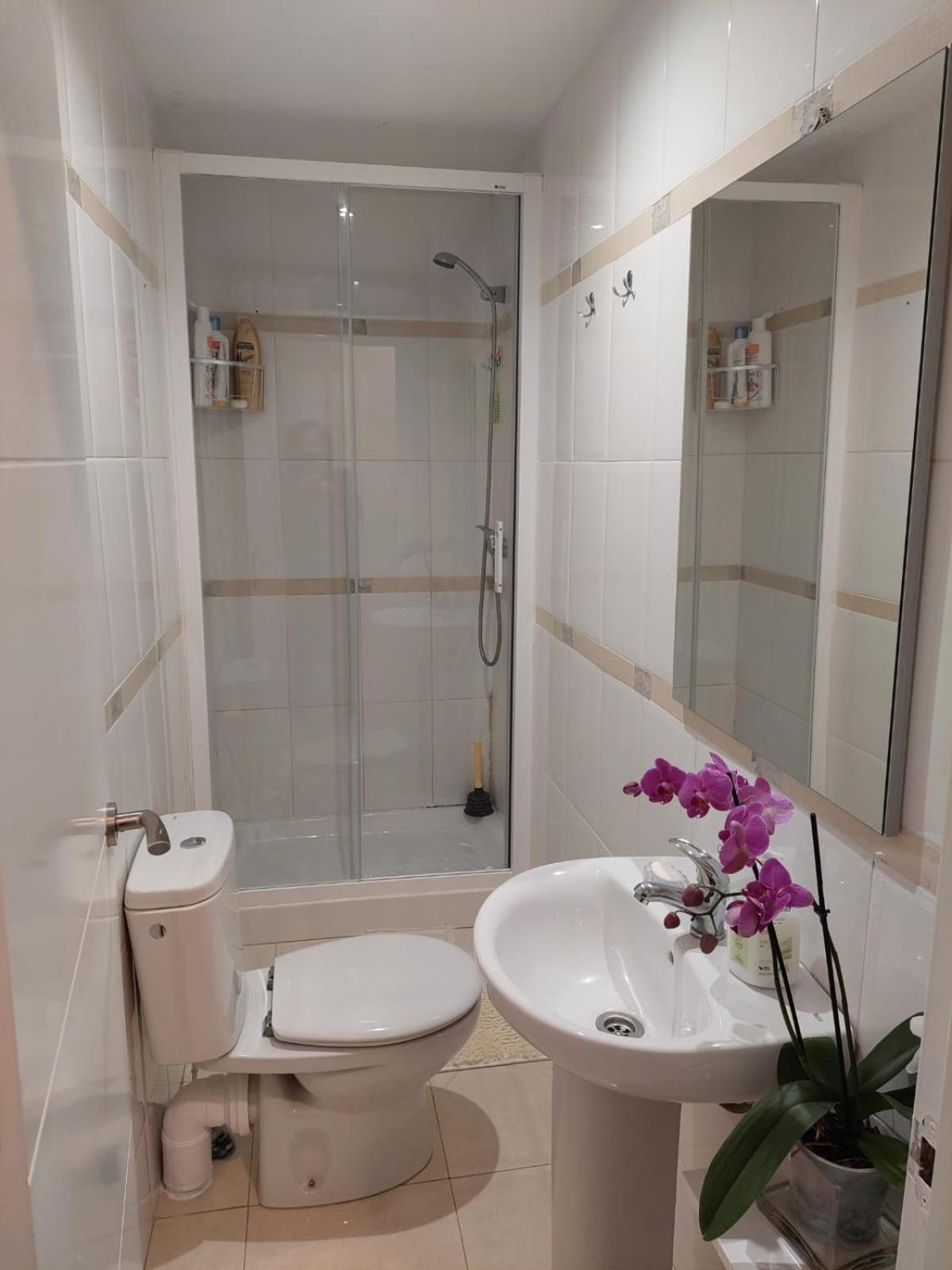 Single Room photo 3