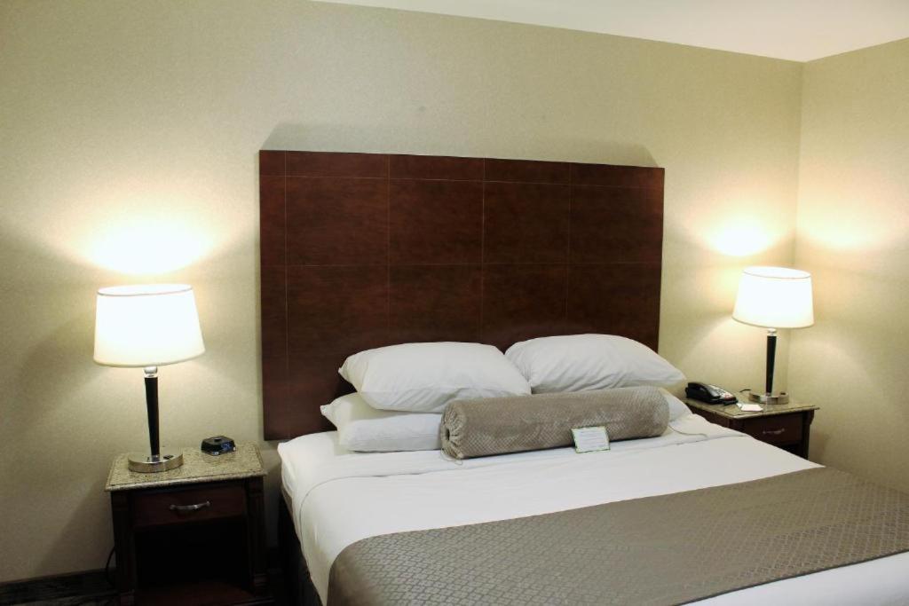 Traditional King Room - Non-Smoking - Photo 1